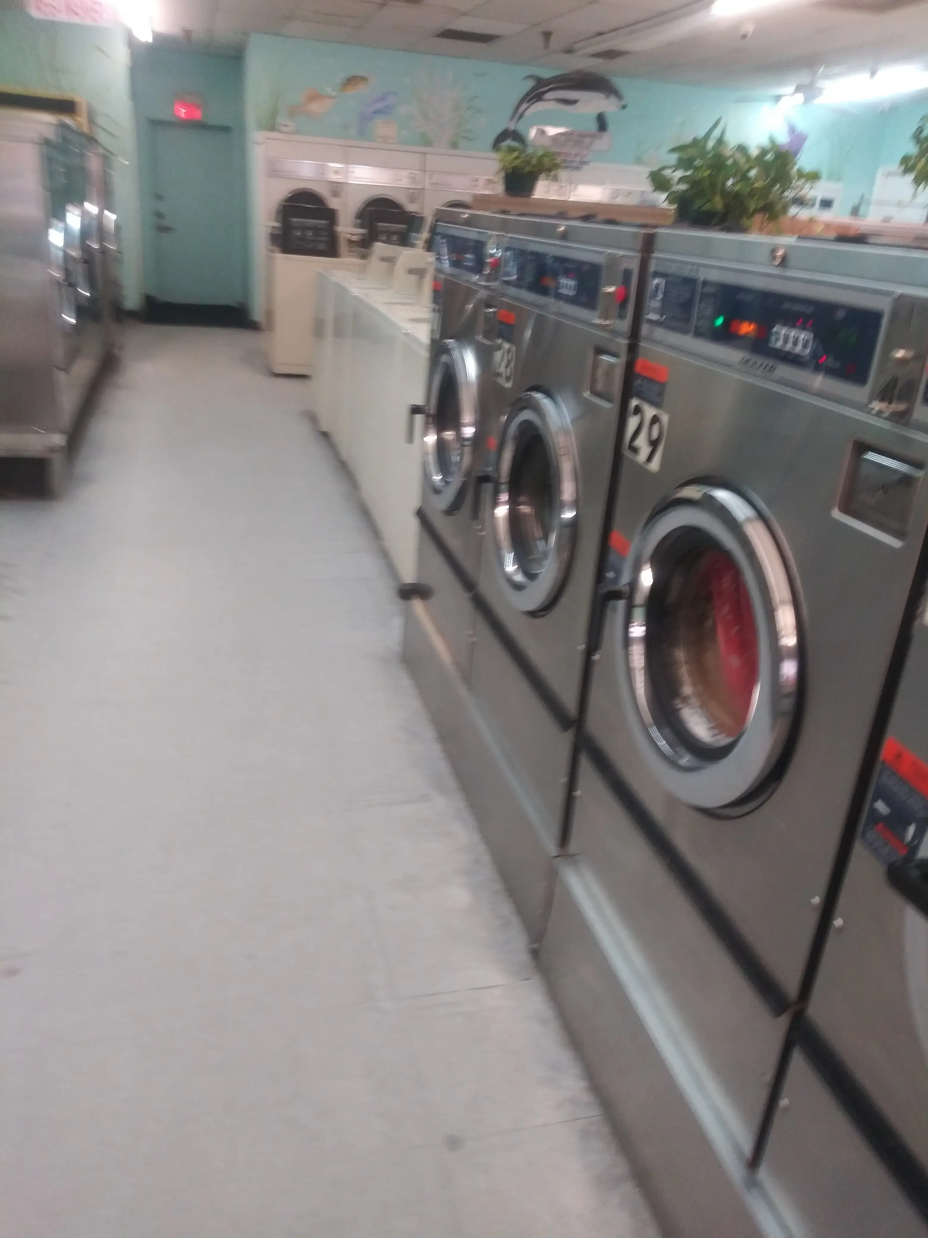 The Wash Club - Image 11