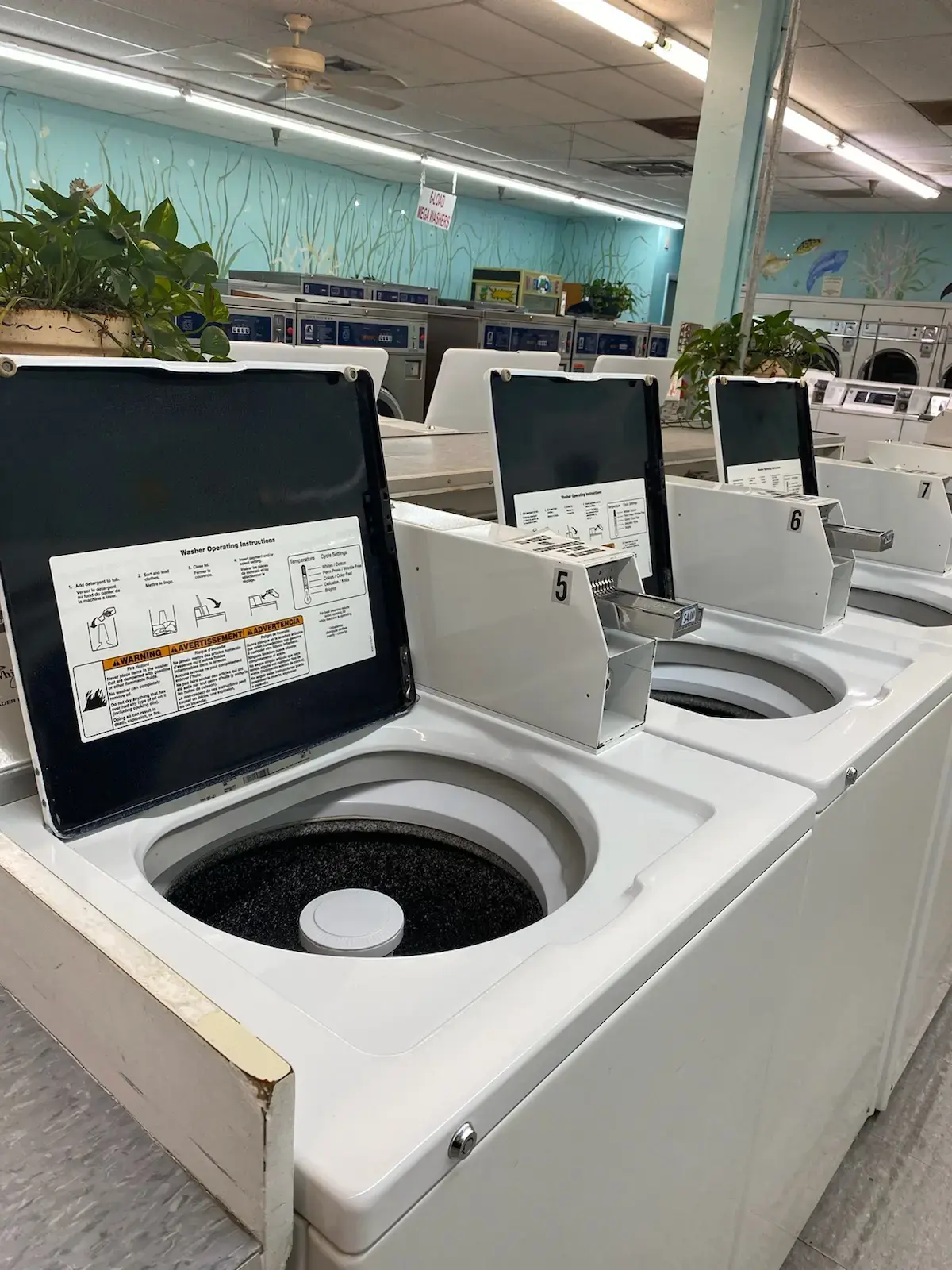 The Wash Club - Image 3