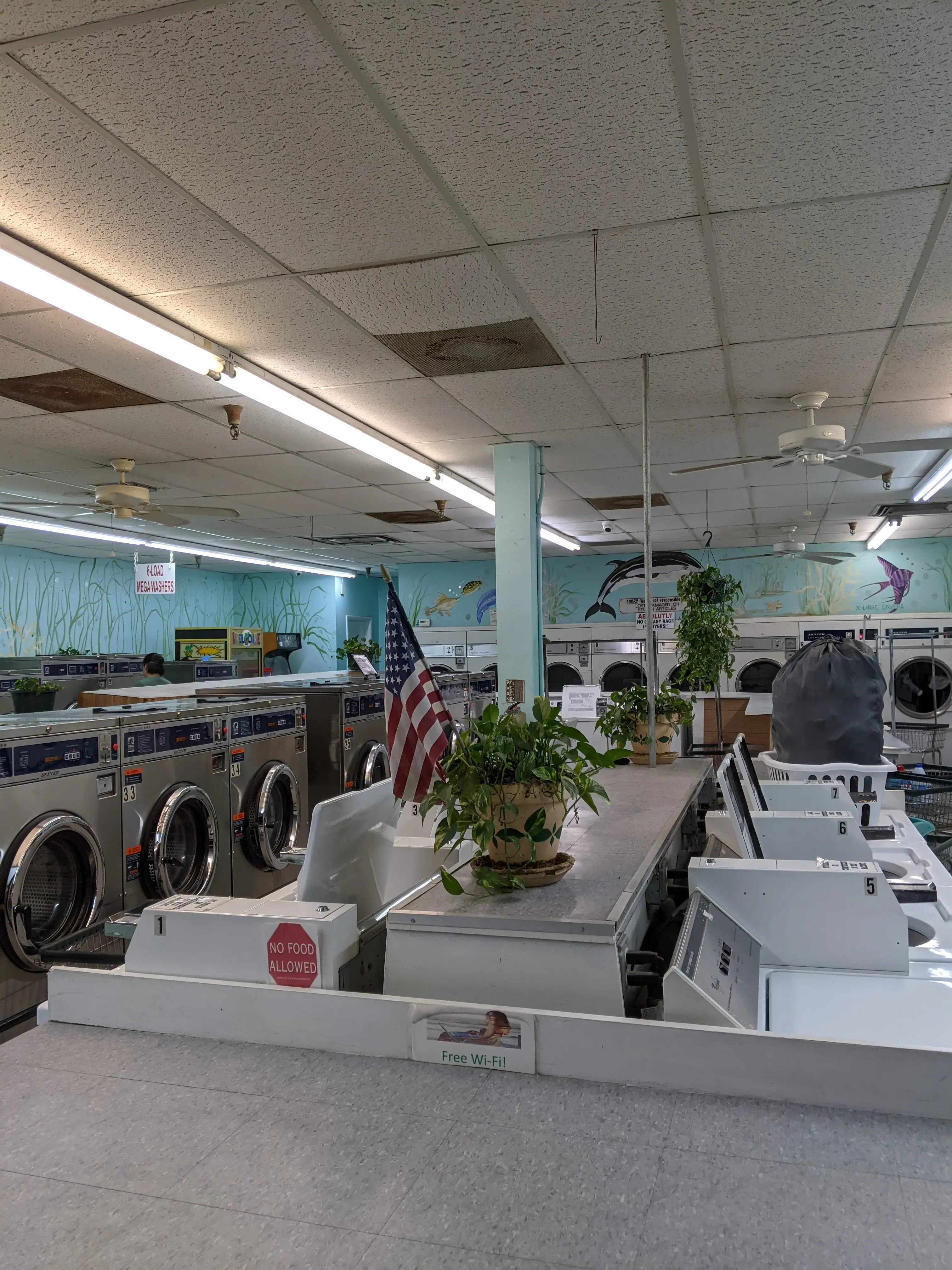 The Wash Club - Image 8