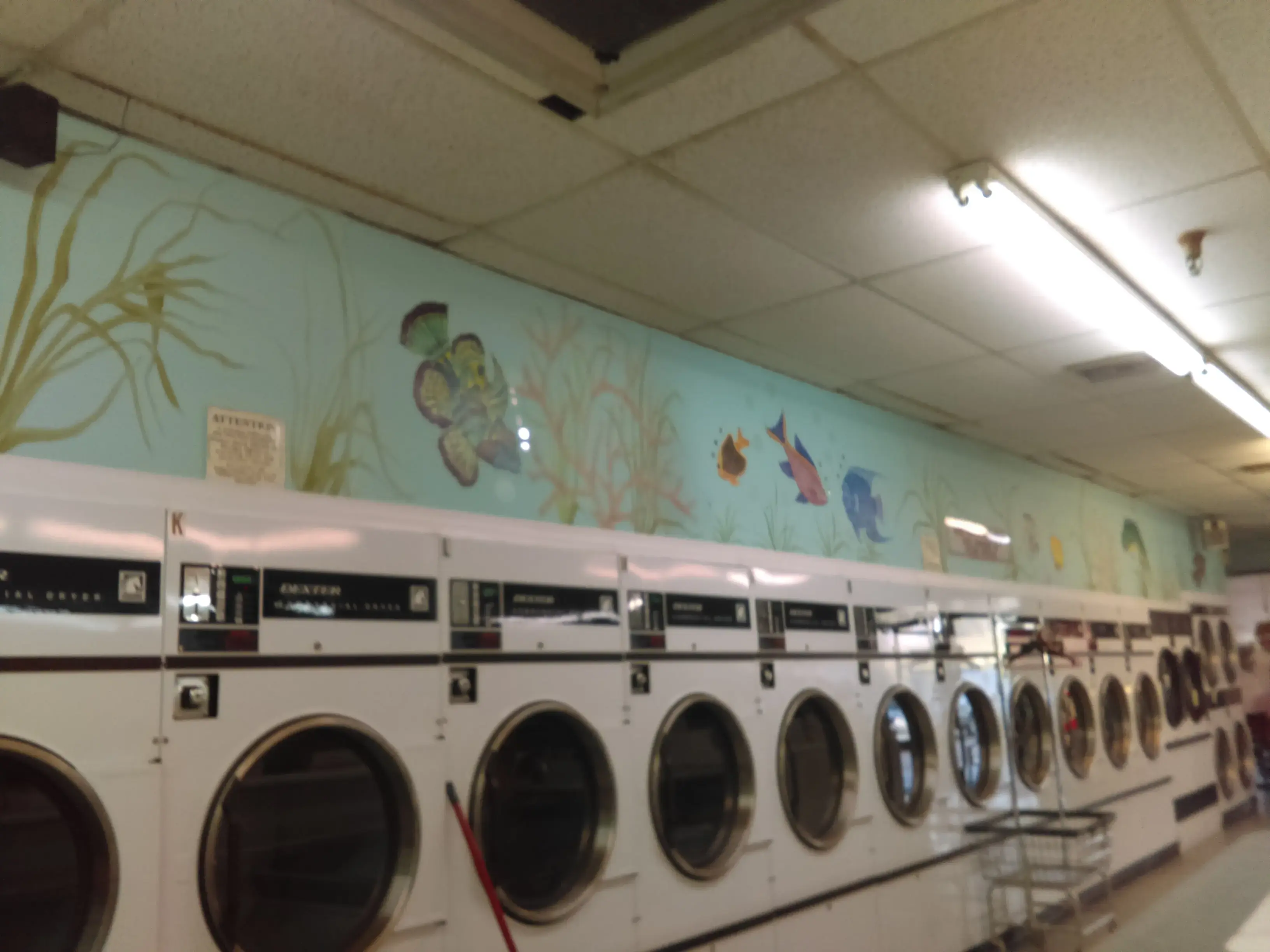 The Wash Club - Image 14