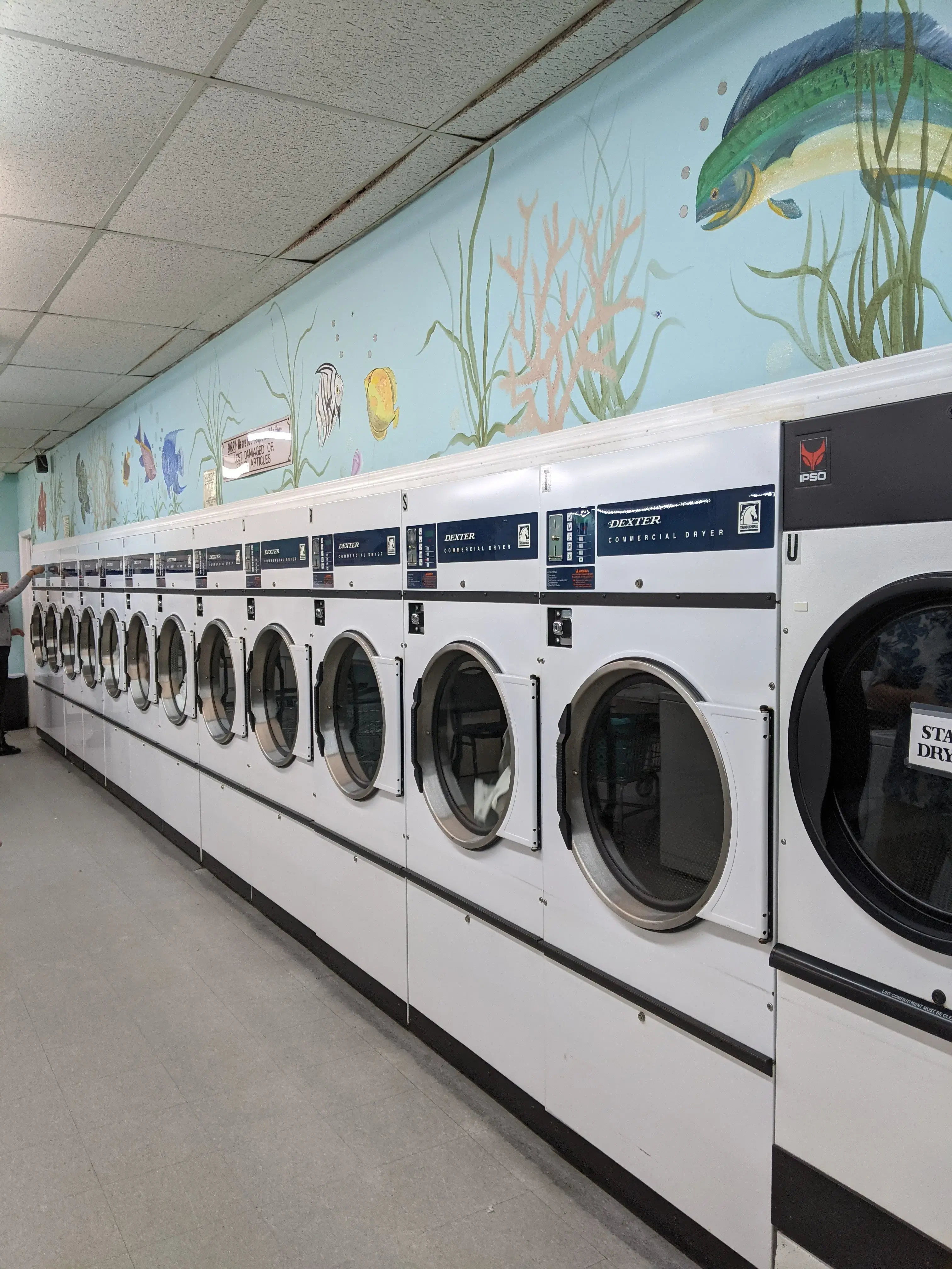 The Wash Club - Image 18