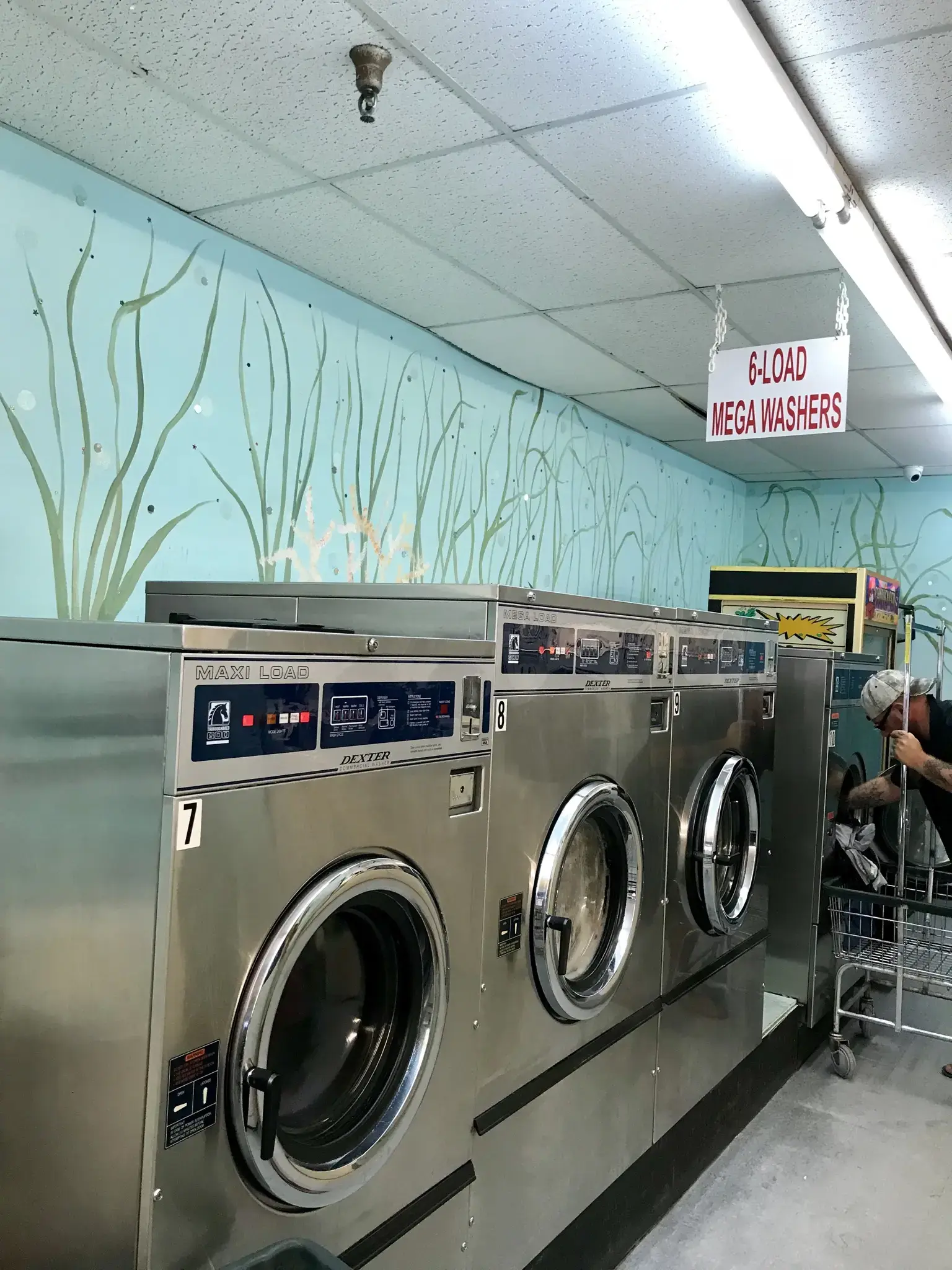 The Wash Club - Image 12