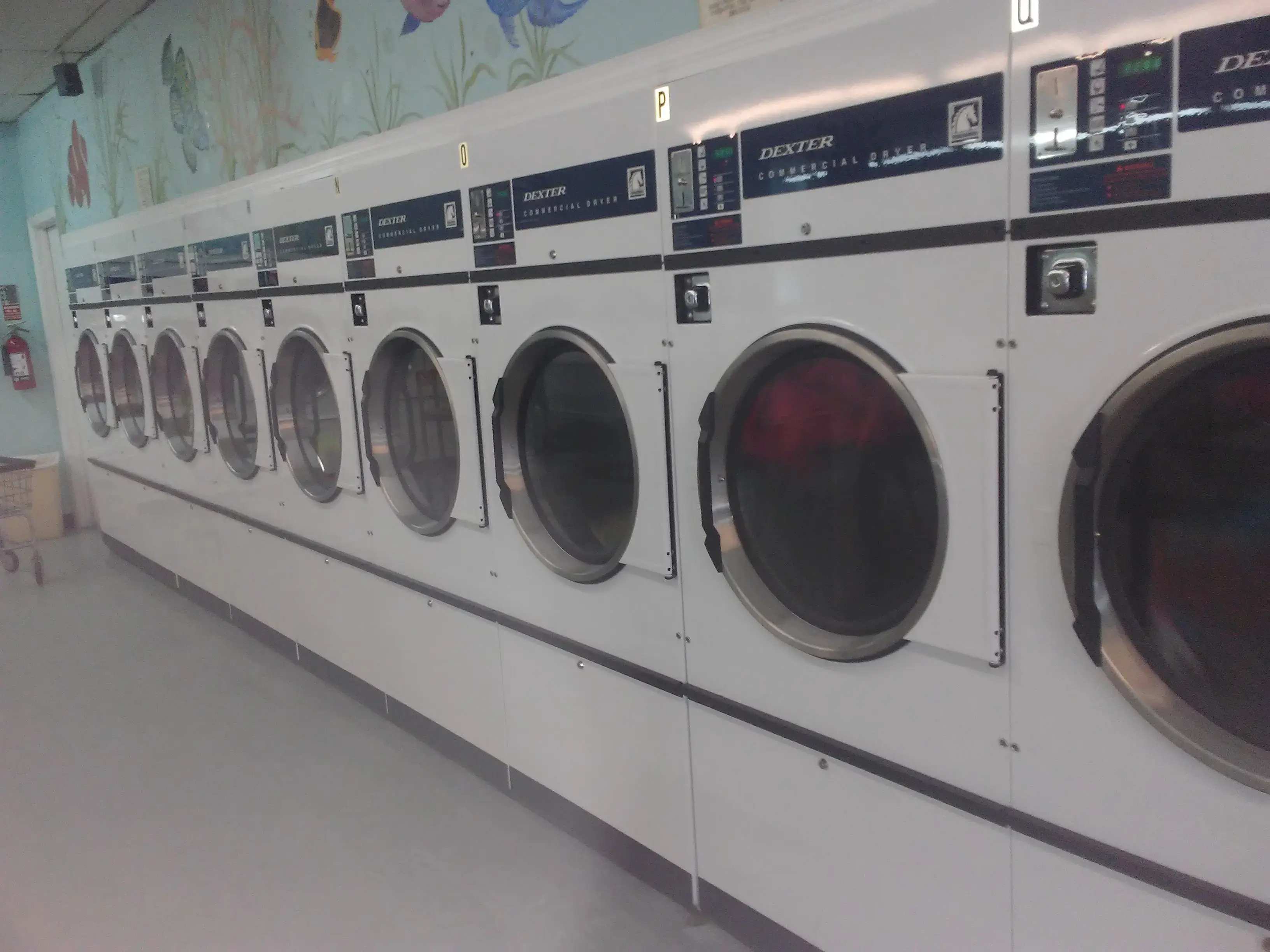 The Wash Club thumbnail 16