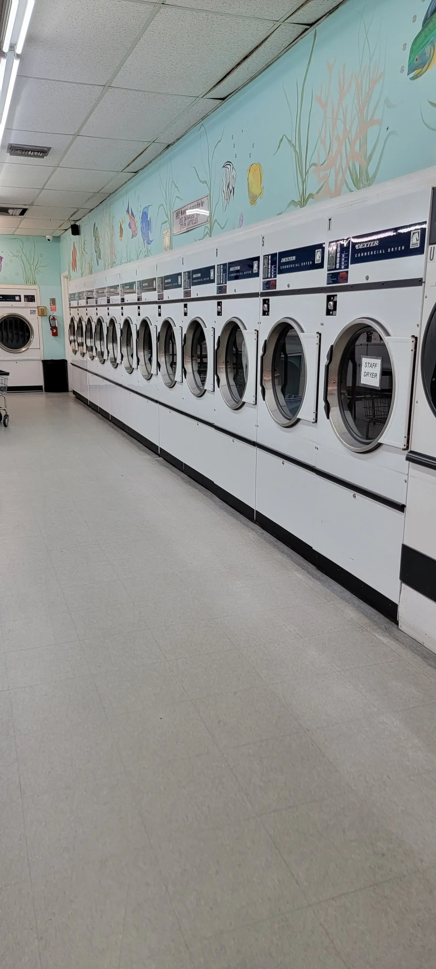 The Wash Club - Image 17