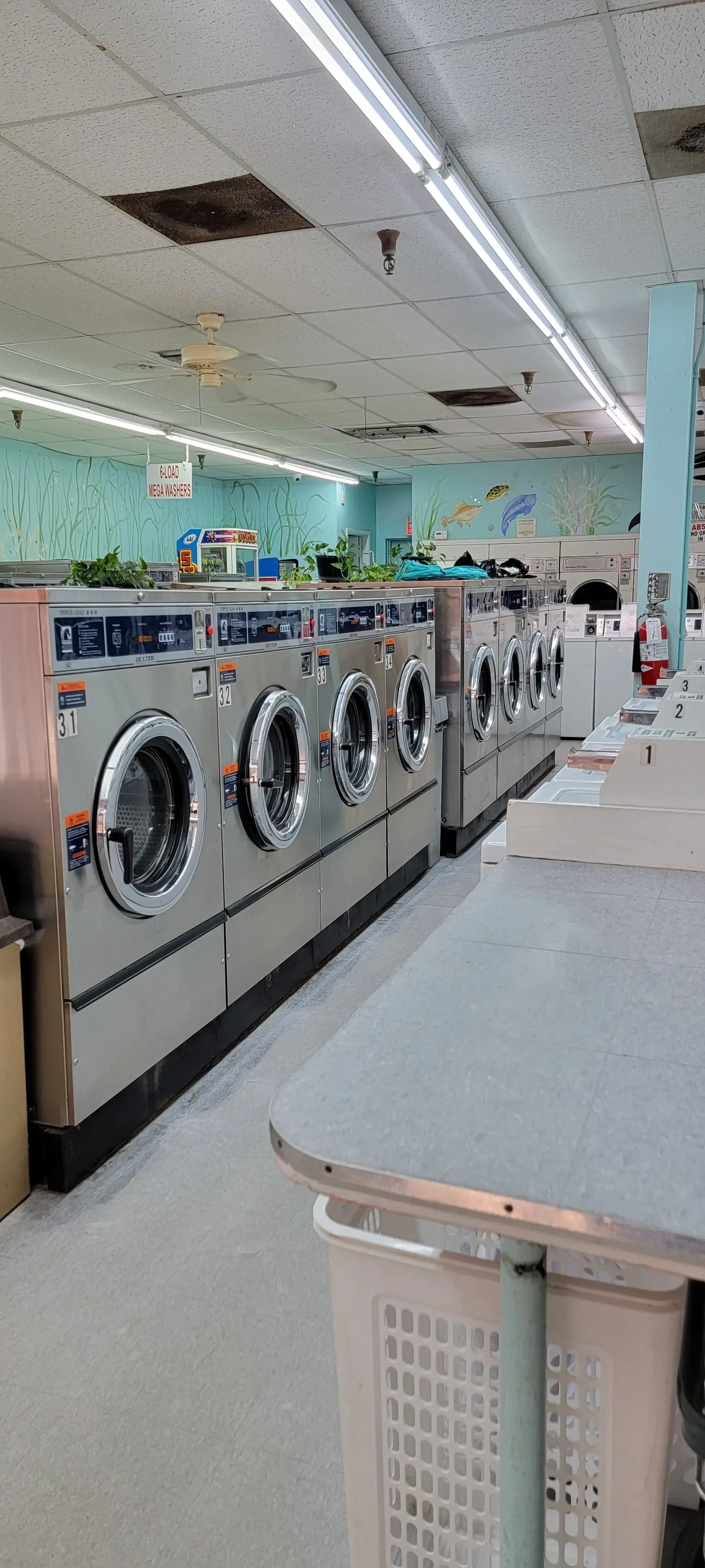 The Wash Club - Image 20