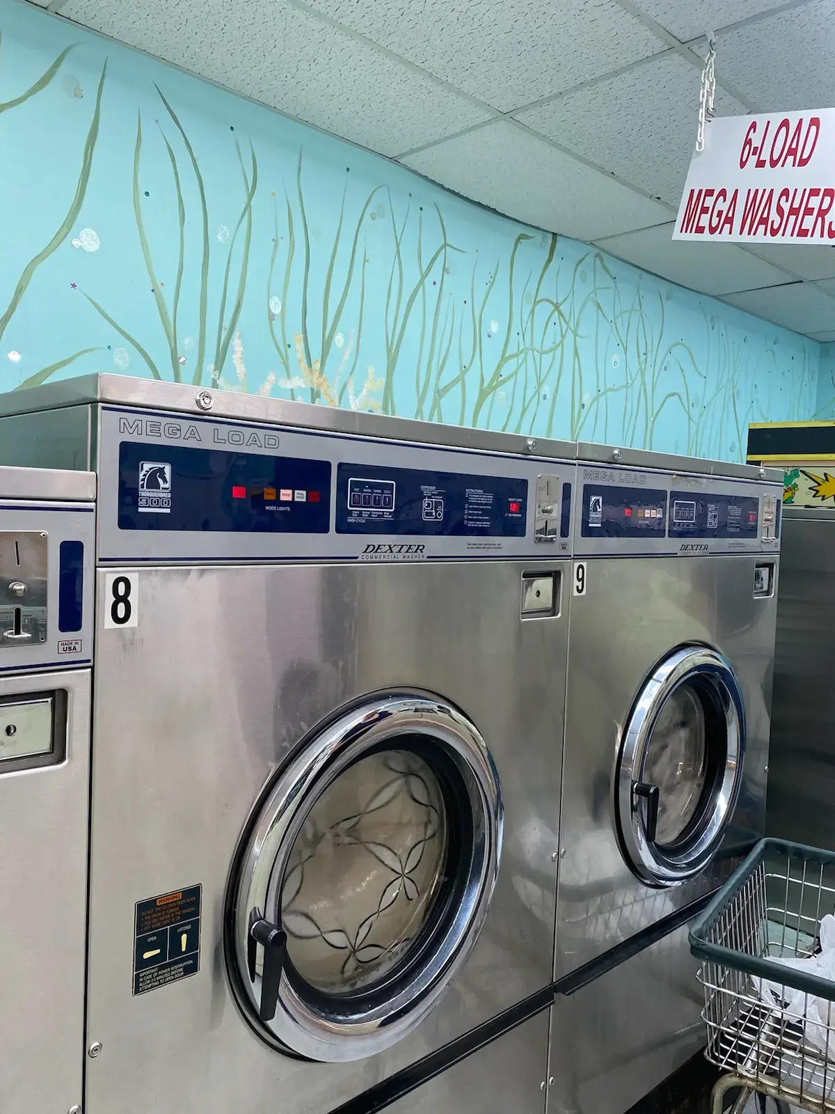 The Wash Club - Image 10