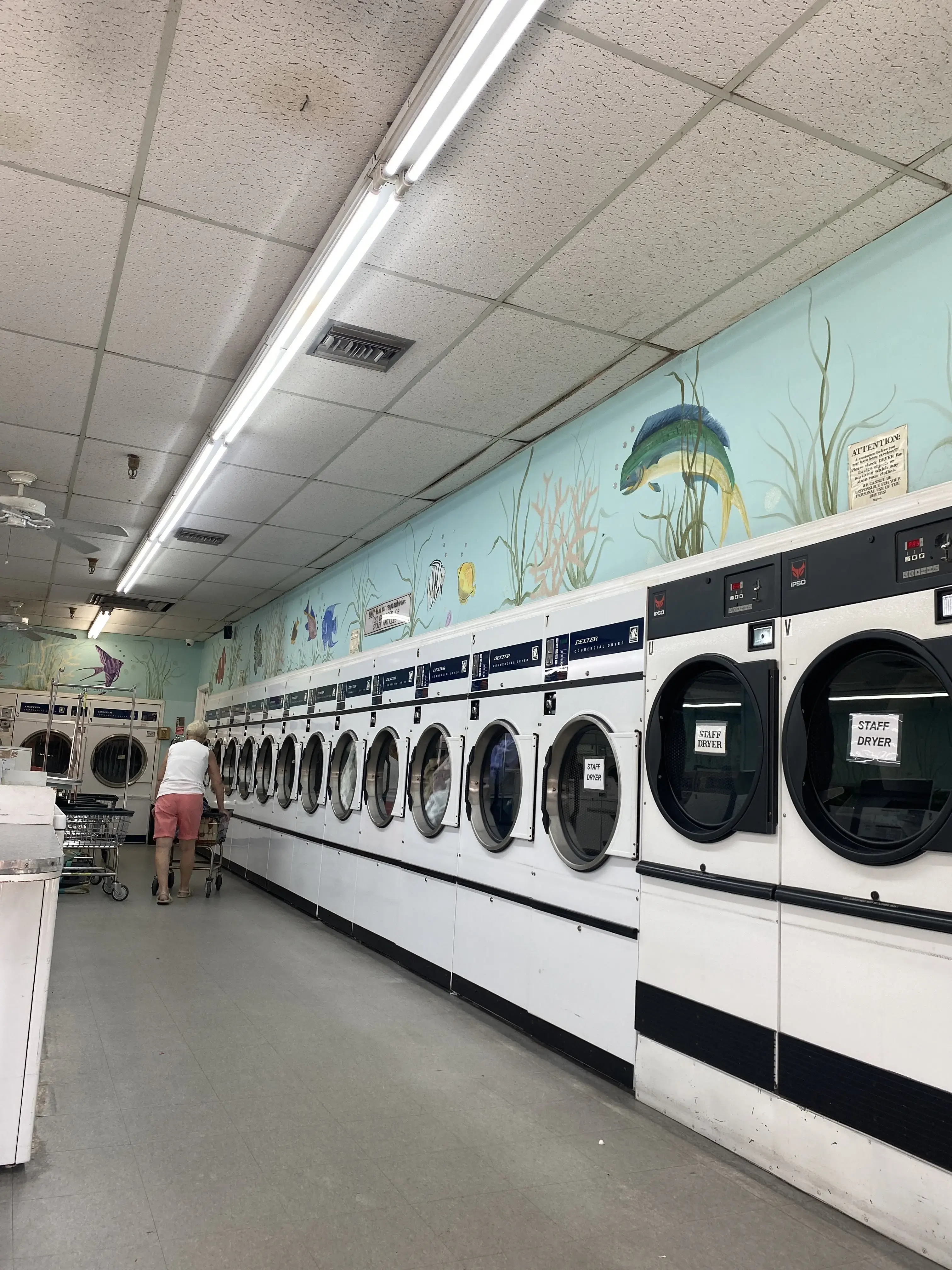 The Wash Club - Image 15