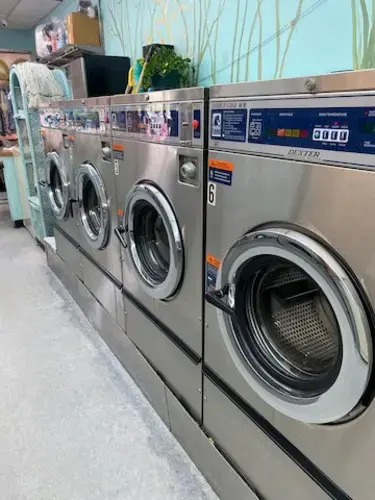 The Wash Club - Image 13