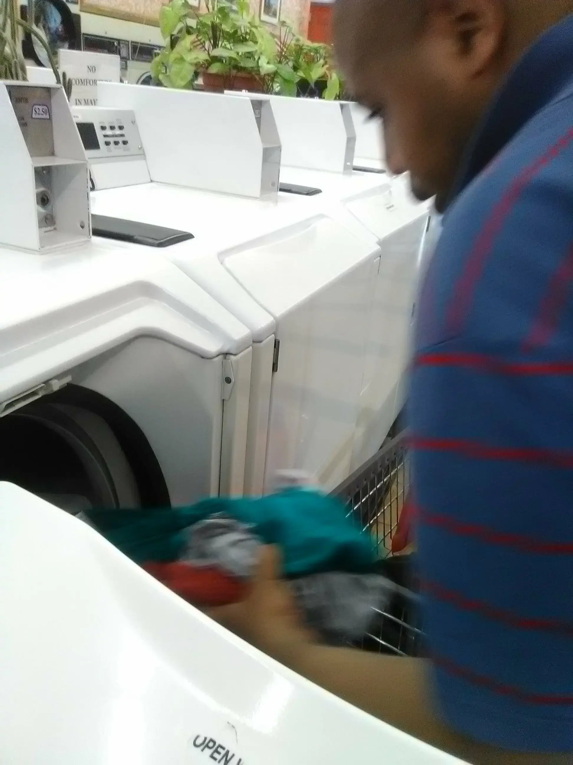 The Wash House thumbnail 16