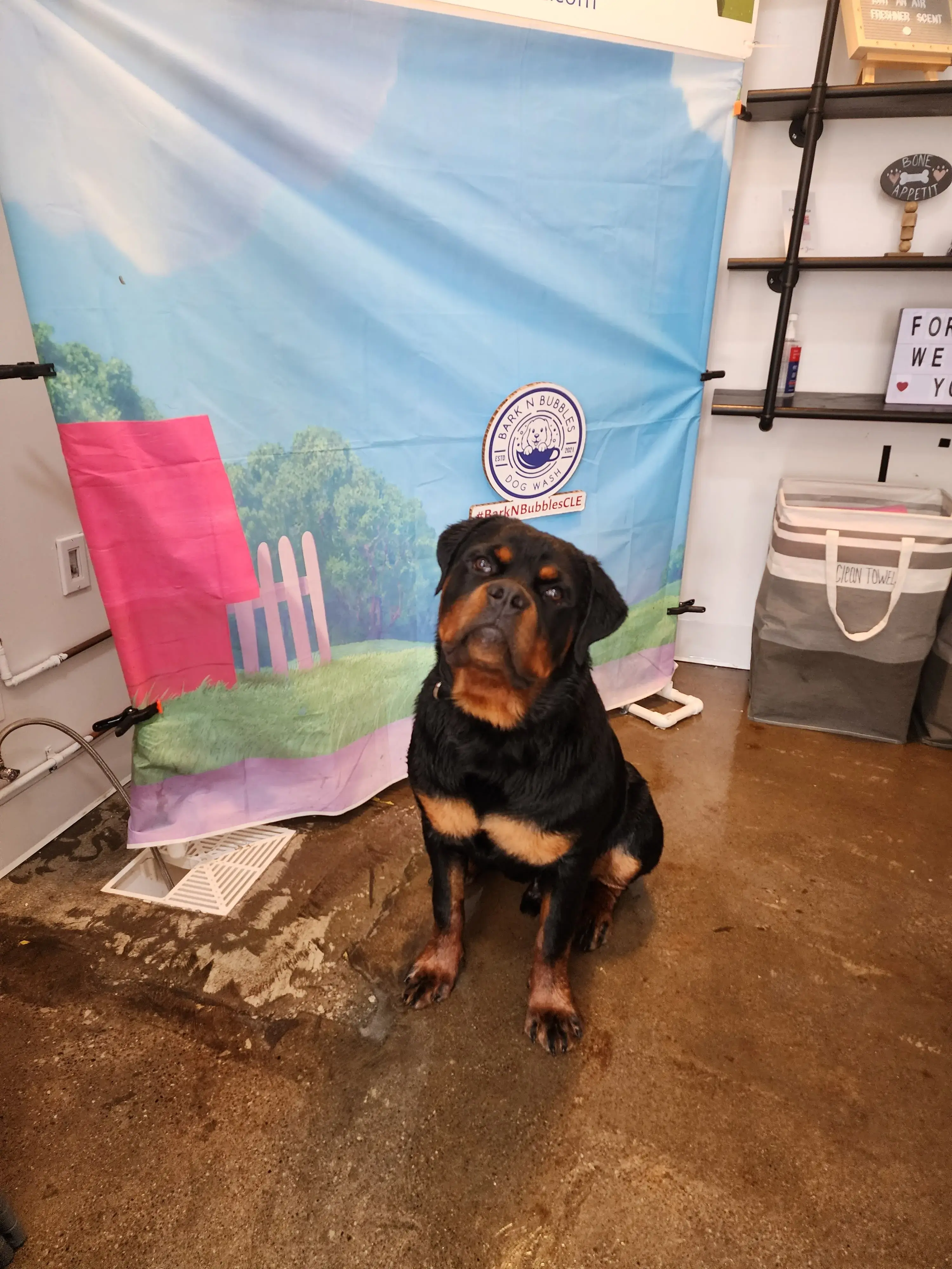 The Wash House CLE - Image 11