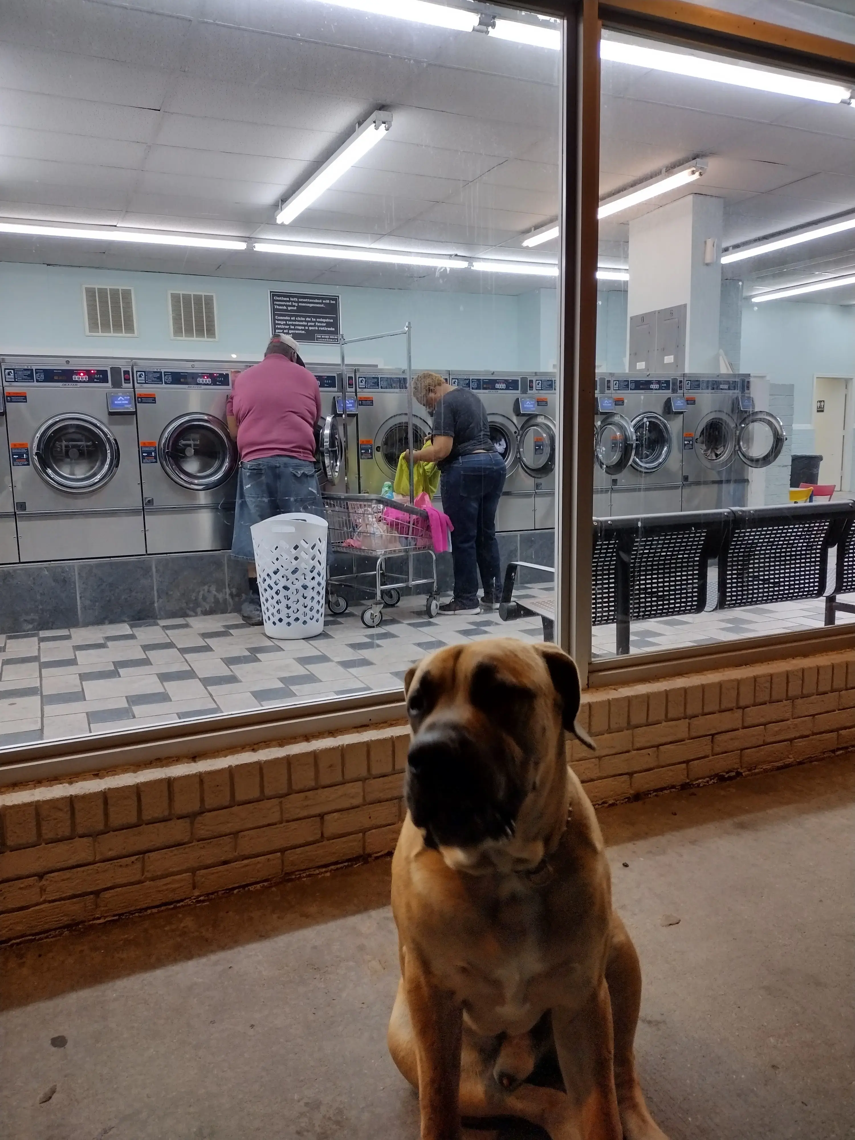 The Wash House thumbnail 9