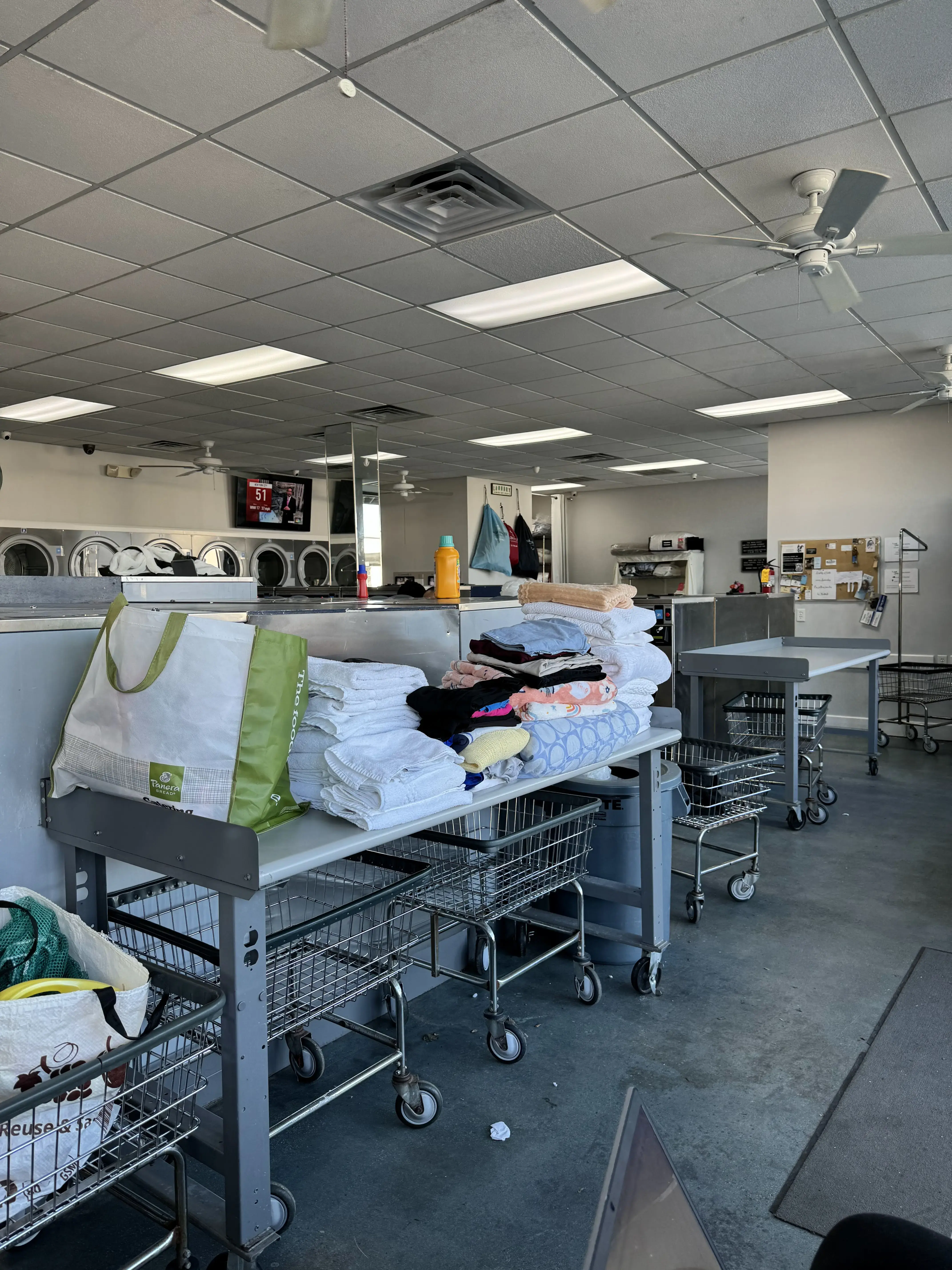 The Wash House - Image 7