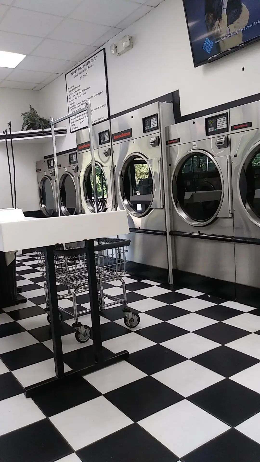 The Wash House thumbnail 6