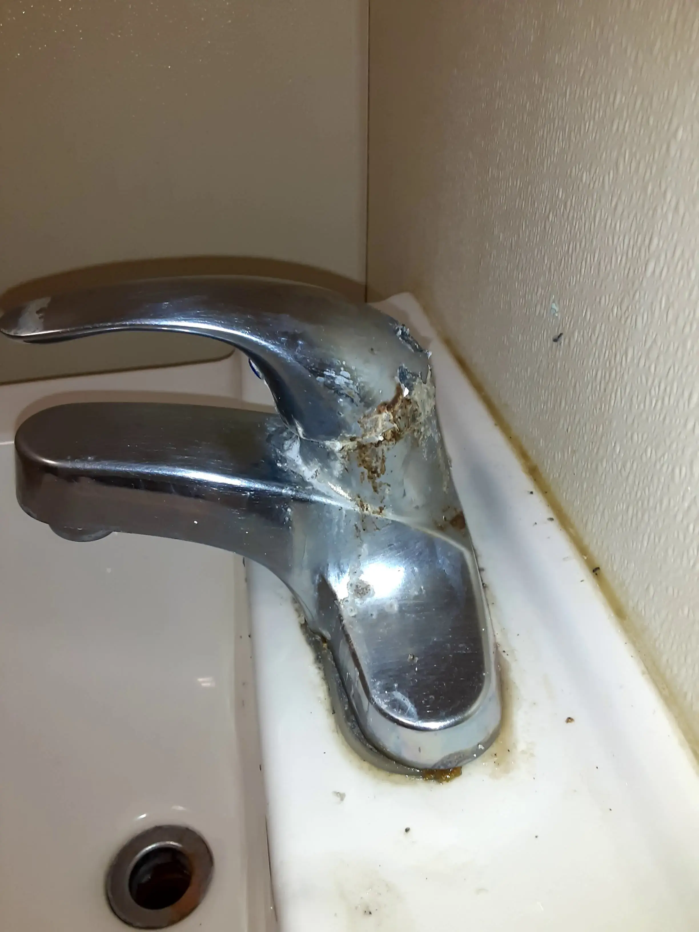 The Wash House - Image 13