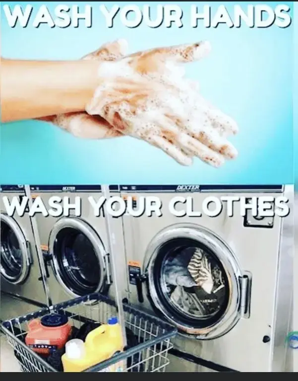 The Wash House thumbnail 13