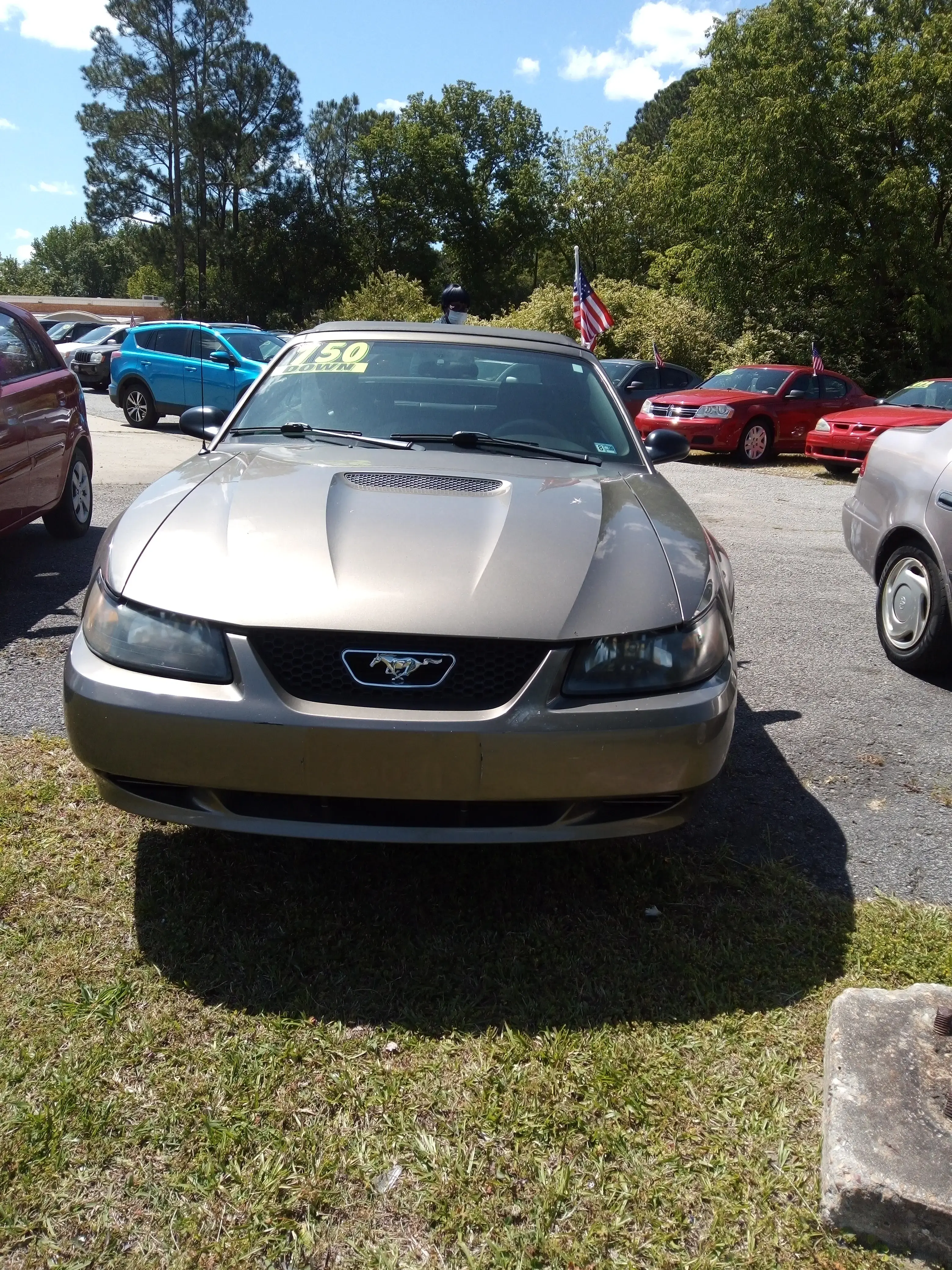 The Wash House - Image 7