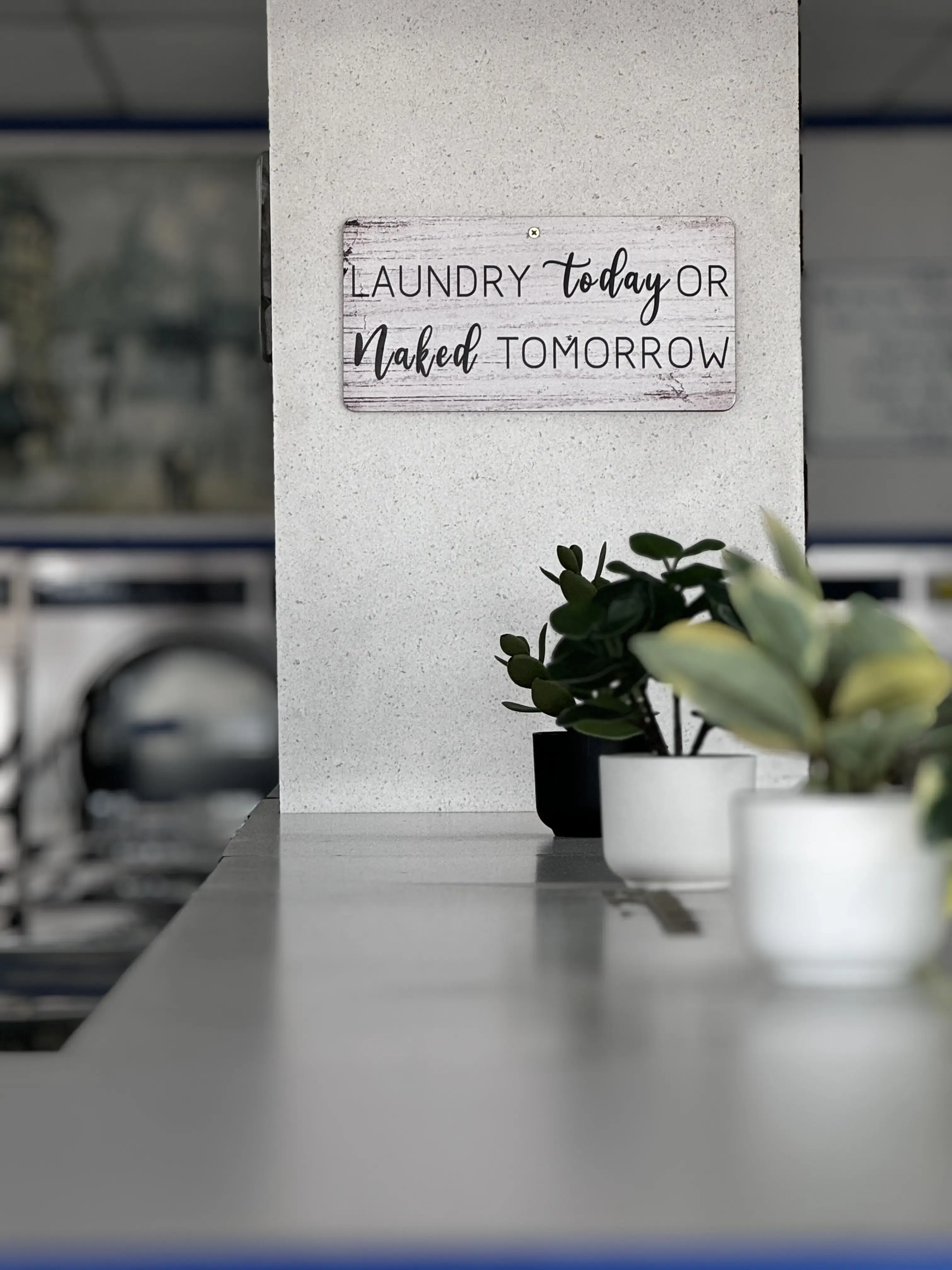 The Wash laundry - Image 7