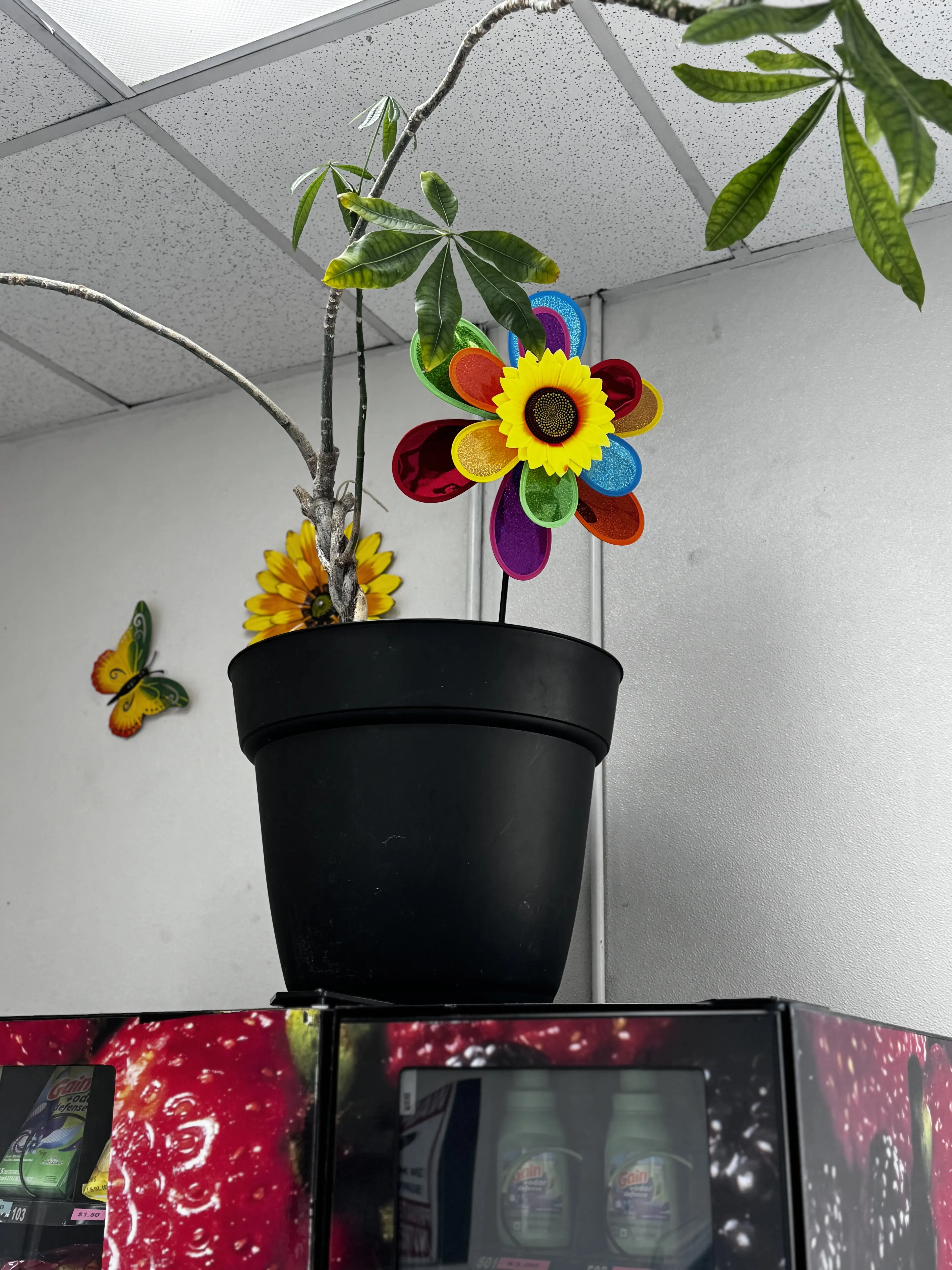 The Wash laundry - Image 11