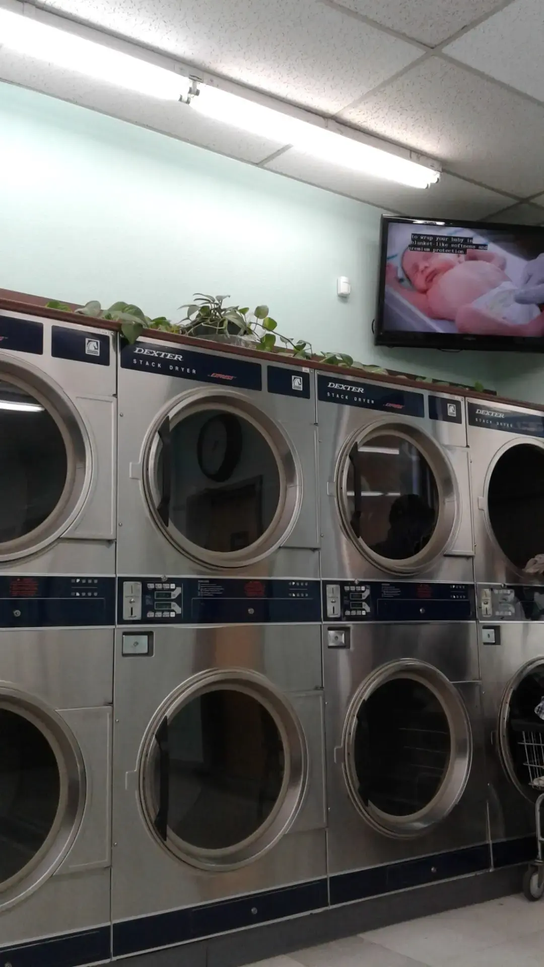 The Wash Tub thumbnail 13