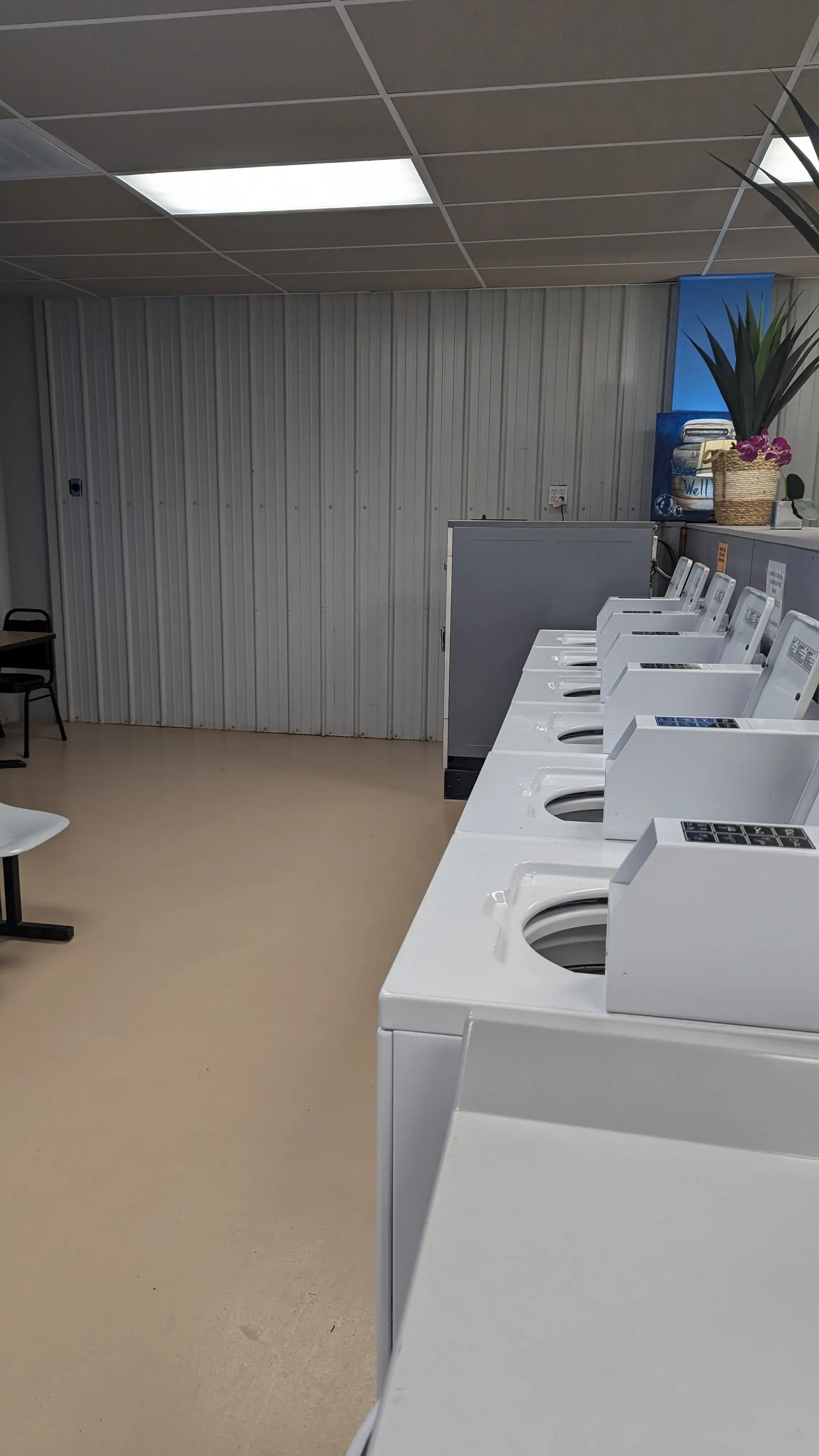 The Washing Well - Image 8