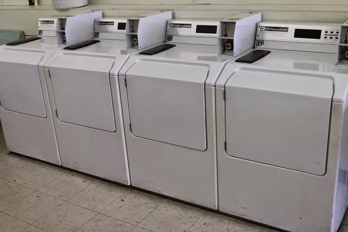 The Washline - Image 7