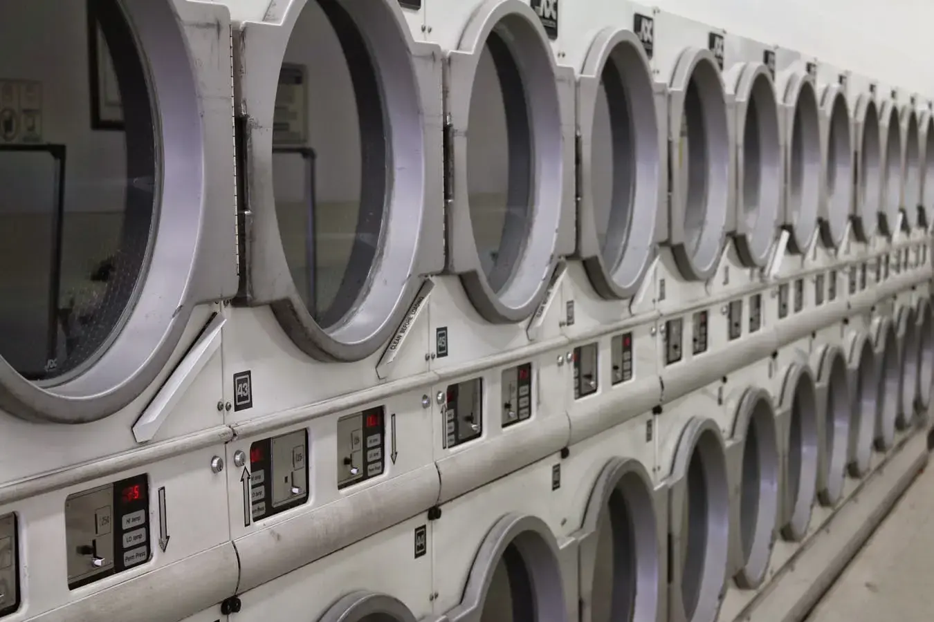 The Washline thumbnail 8