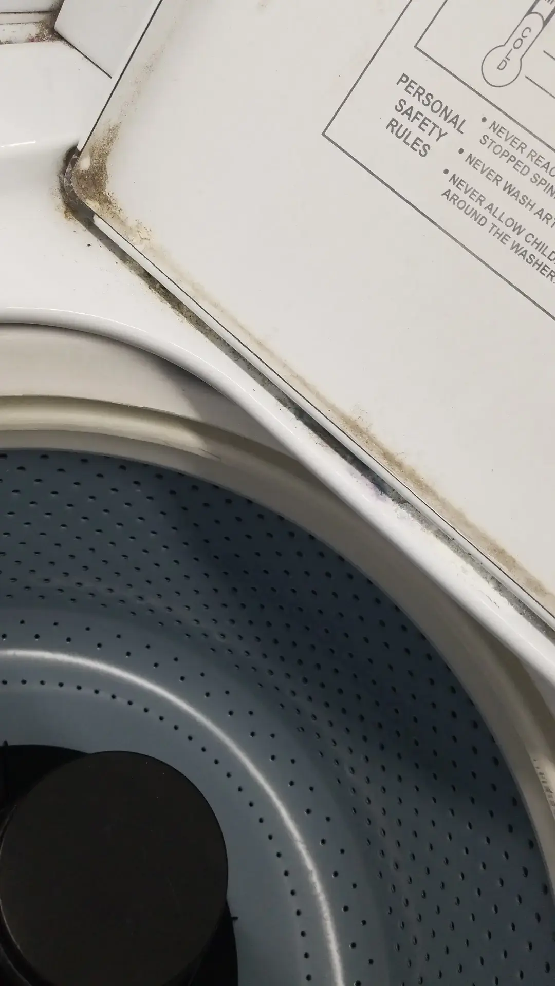 THE WASHTUB LAUNDROMAT - Image 6