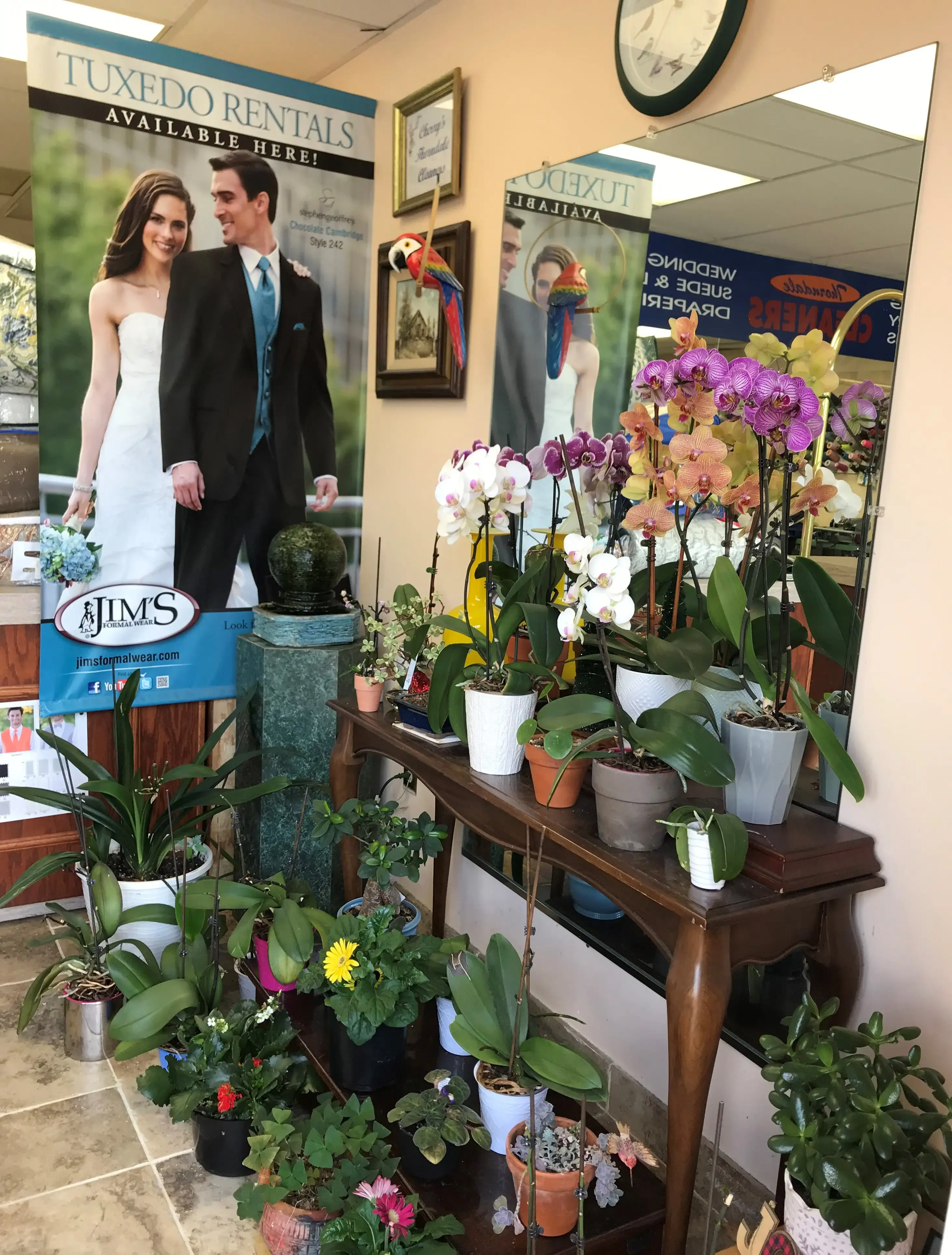 Thorndale Cleaners - Image 5