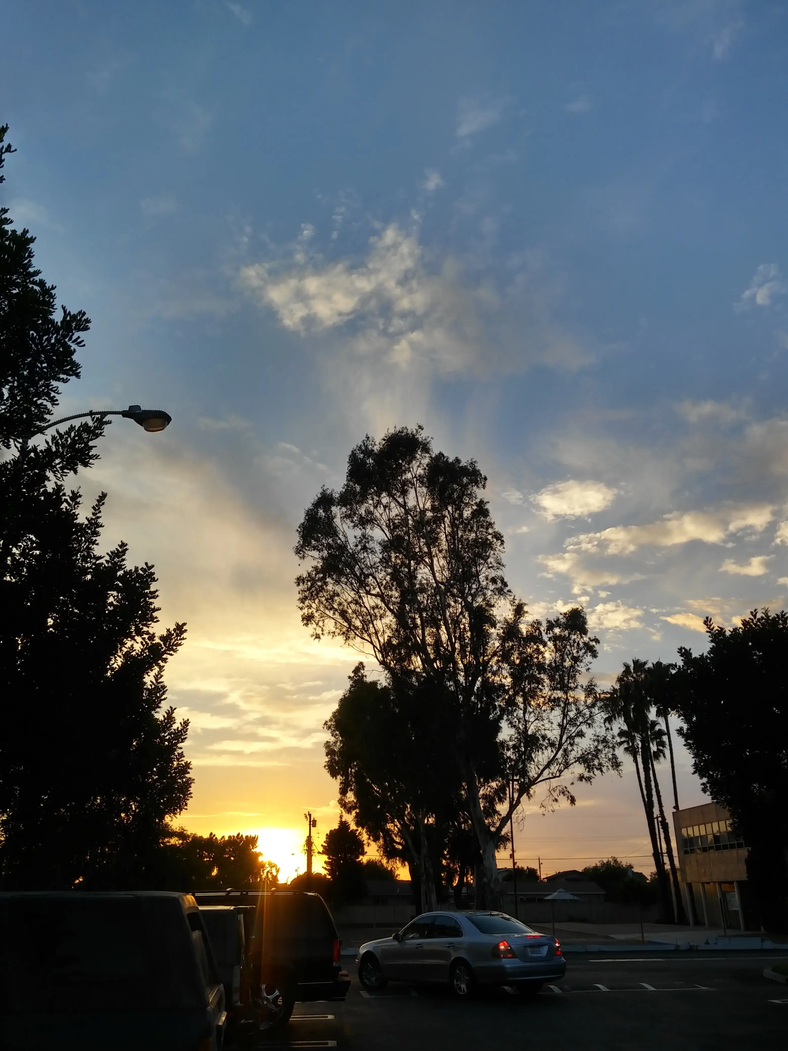 Thrifty Coin Laundry - Image 15