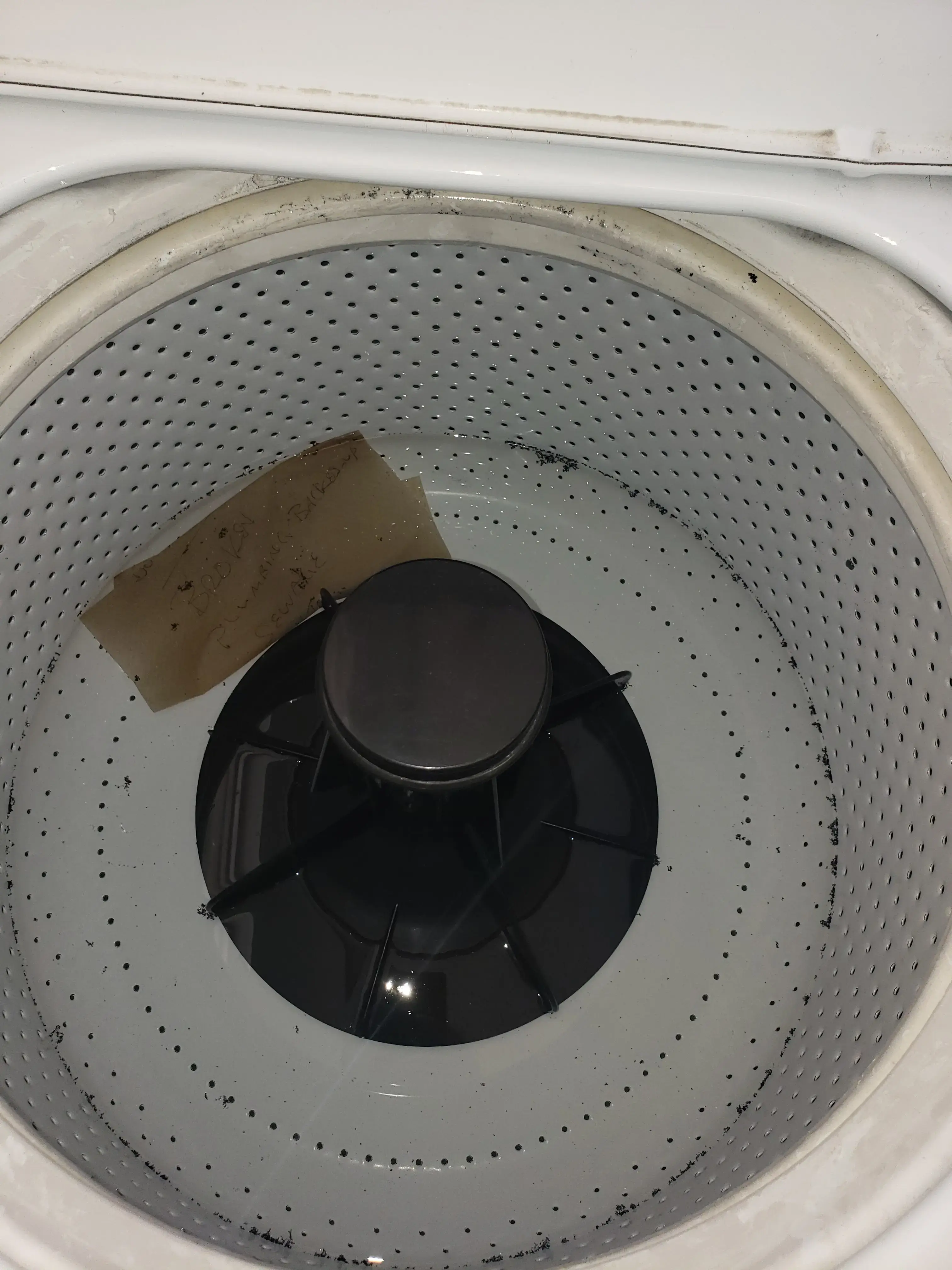 Thrifty Wash & Cleaners thumbnail 6