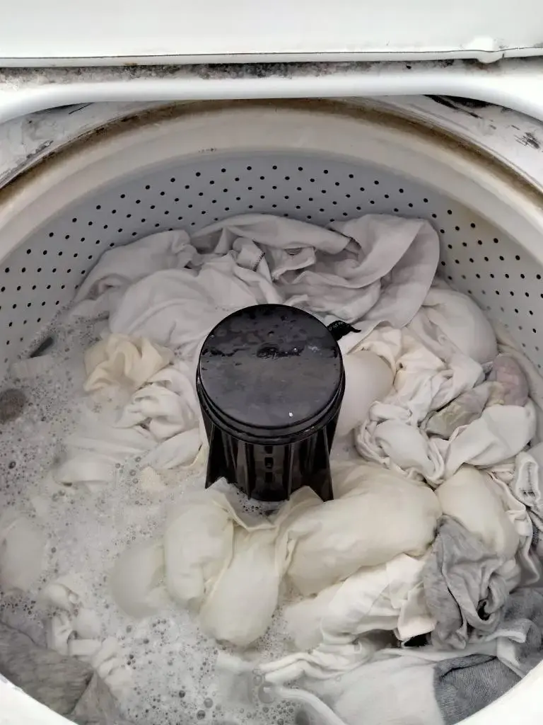 Thrifty Wash thumbnail 7