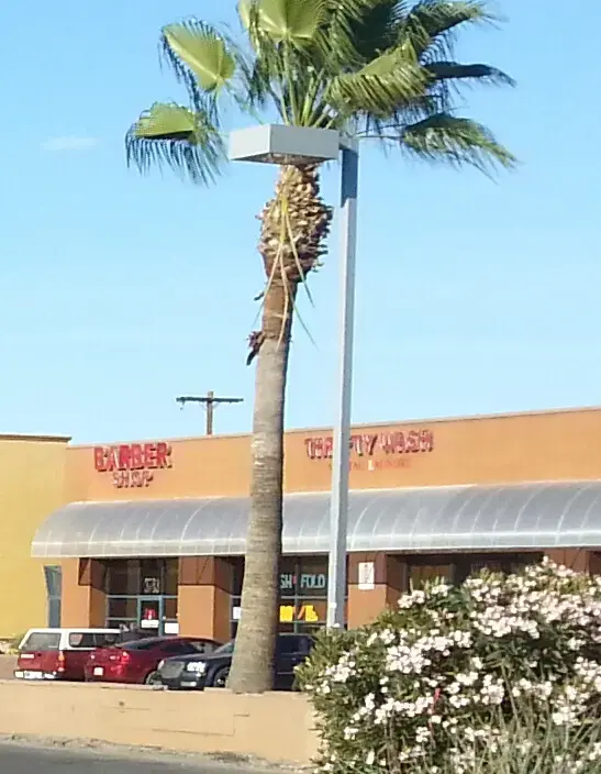 Thrifty Wash thumbnail 16