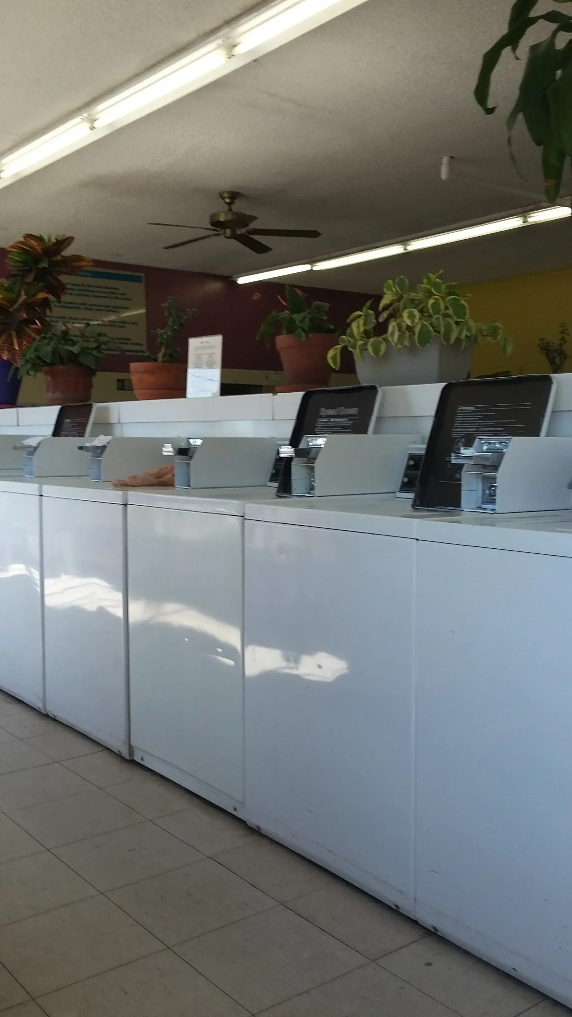 Ti-Dee Laundromat - Image 11