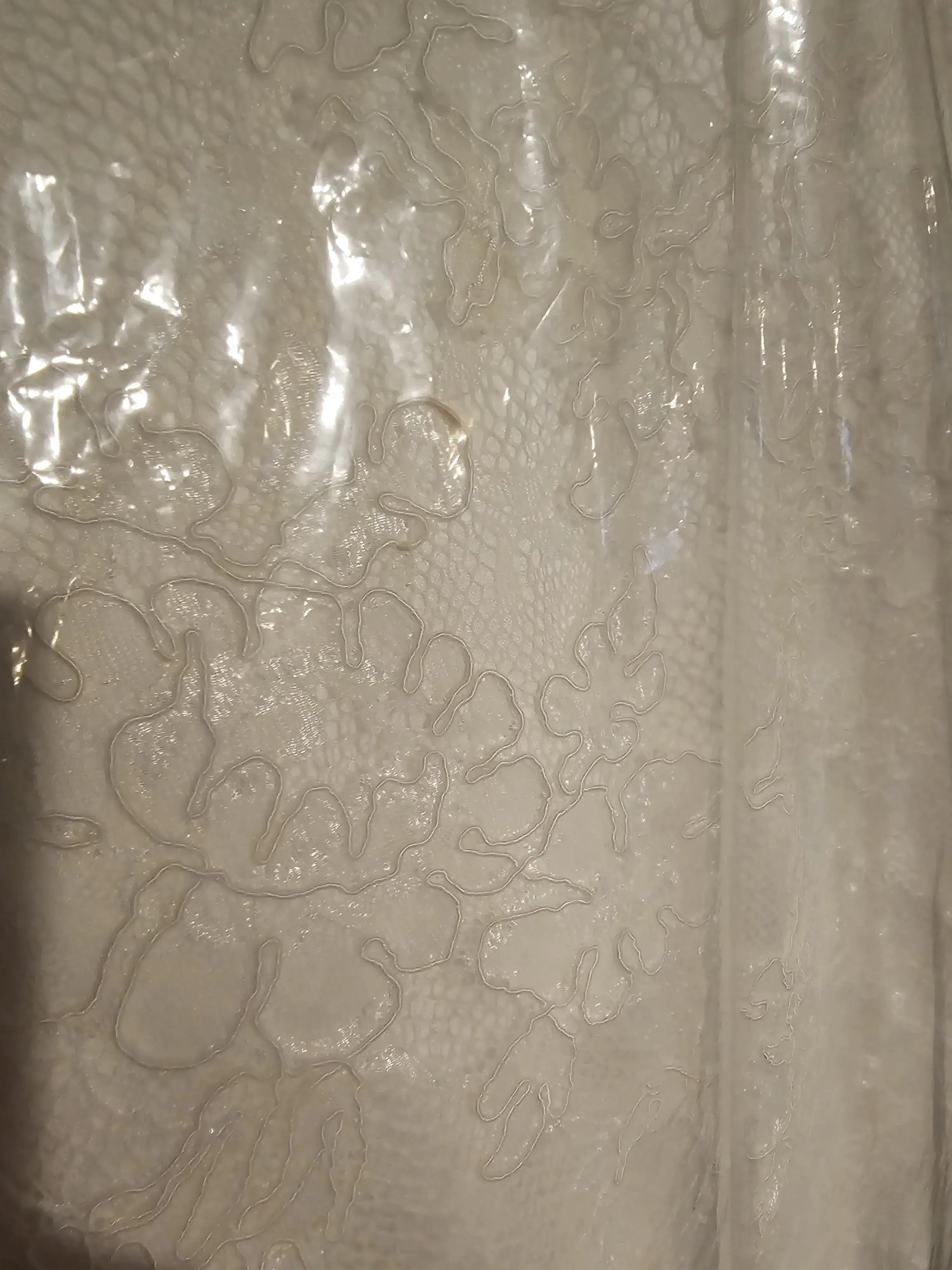 Tide Cleaners - Image 9