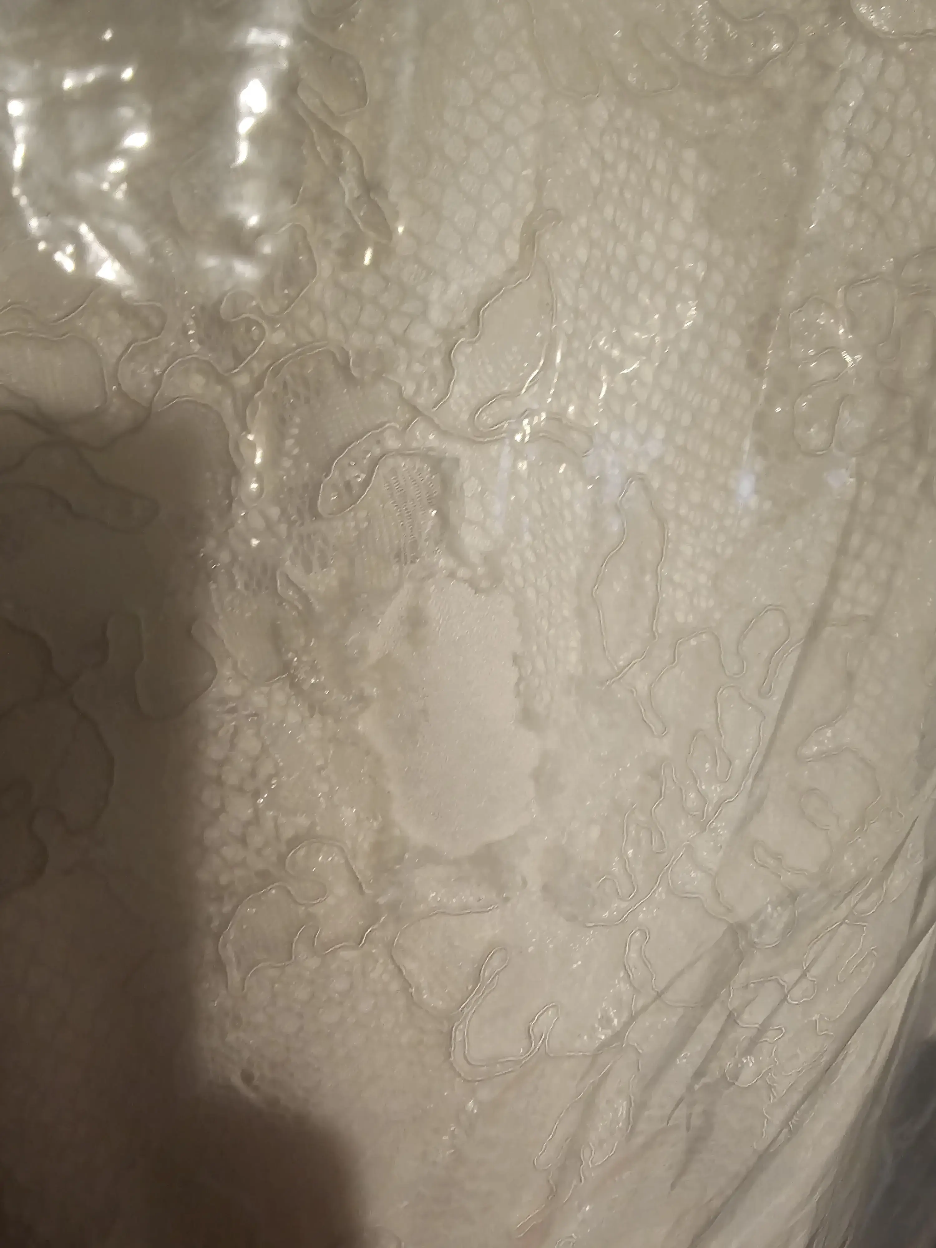 Tide Cleaners thumbnail 7