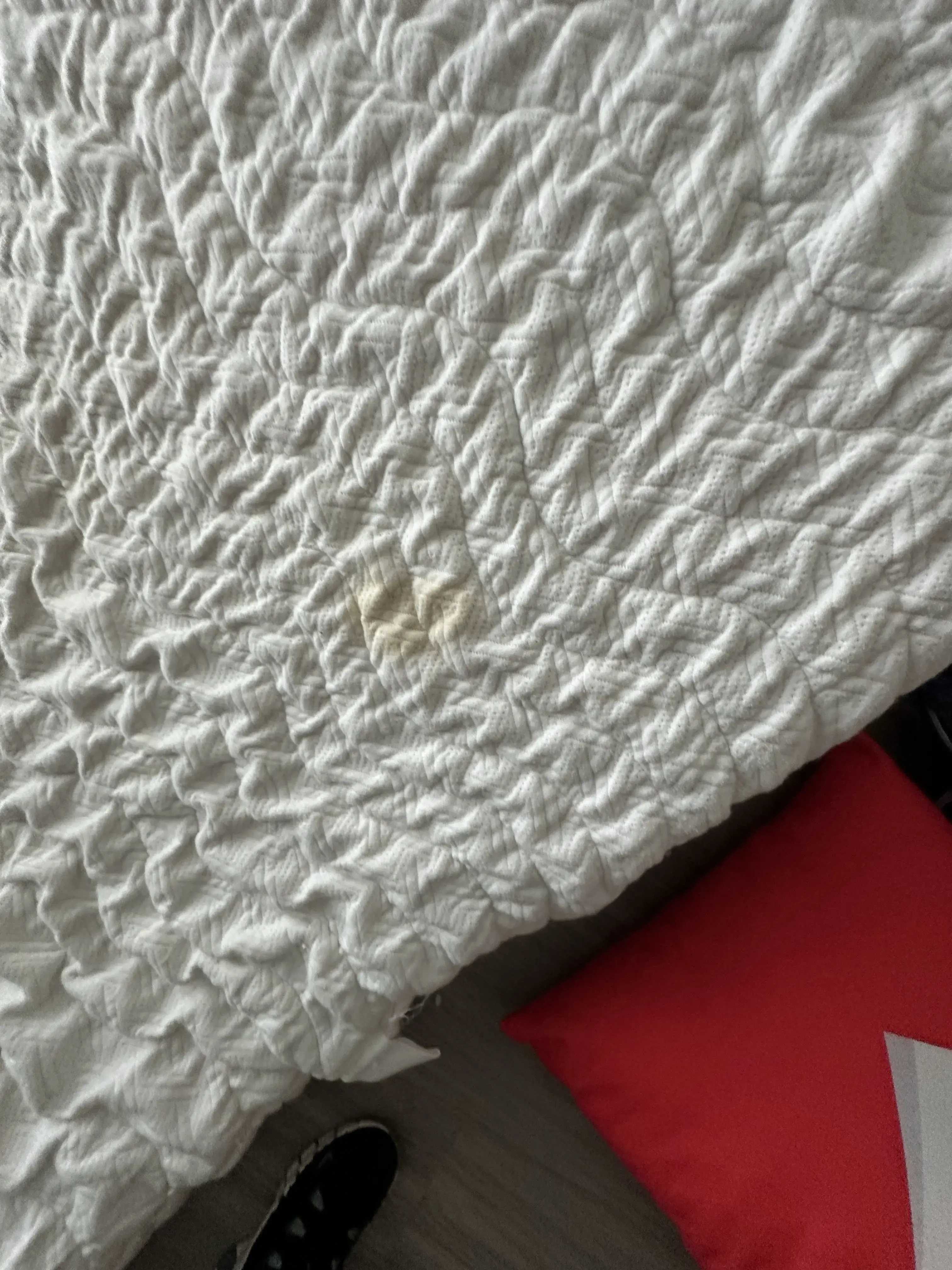 Tide Cleaners - Image 12