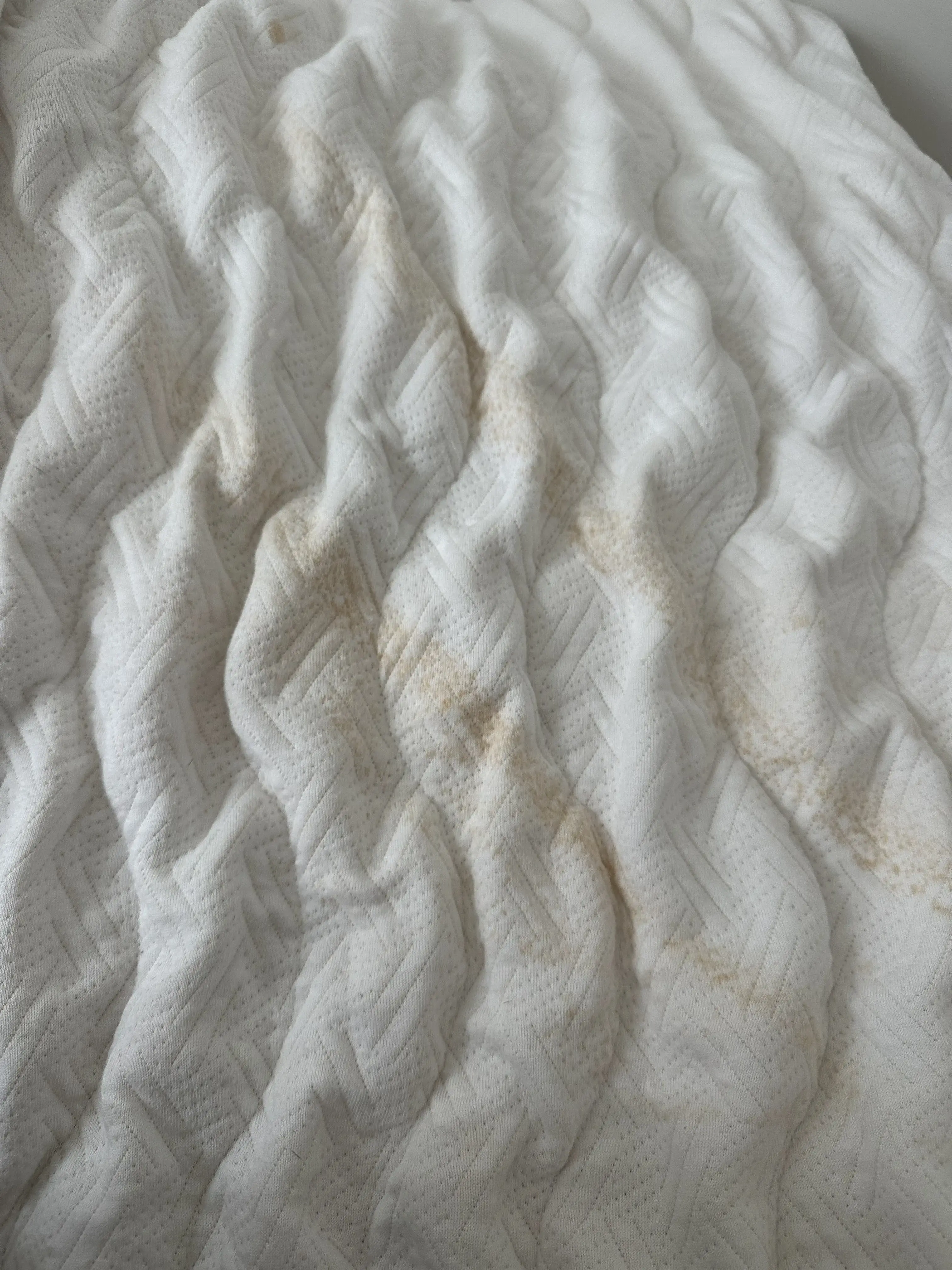 Tide Cleaners - Image 15