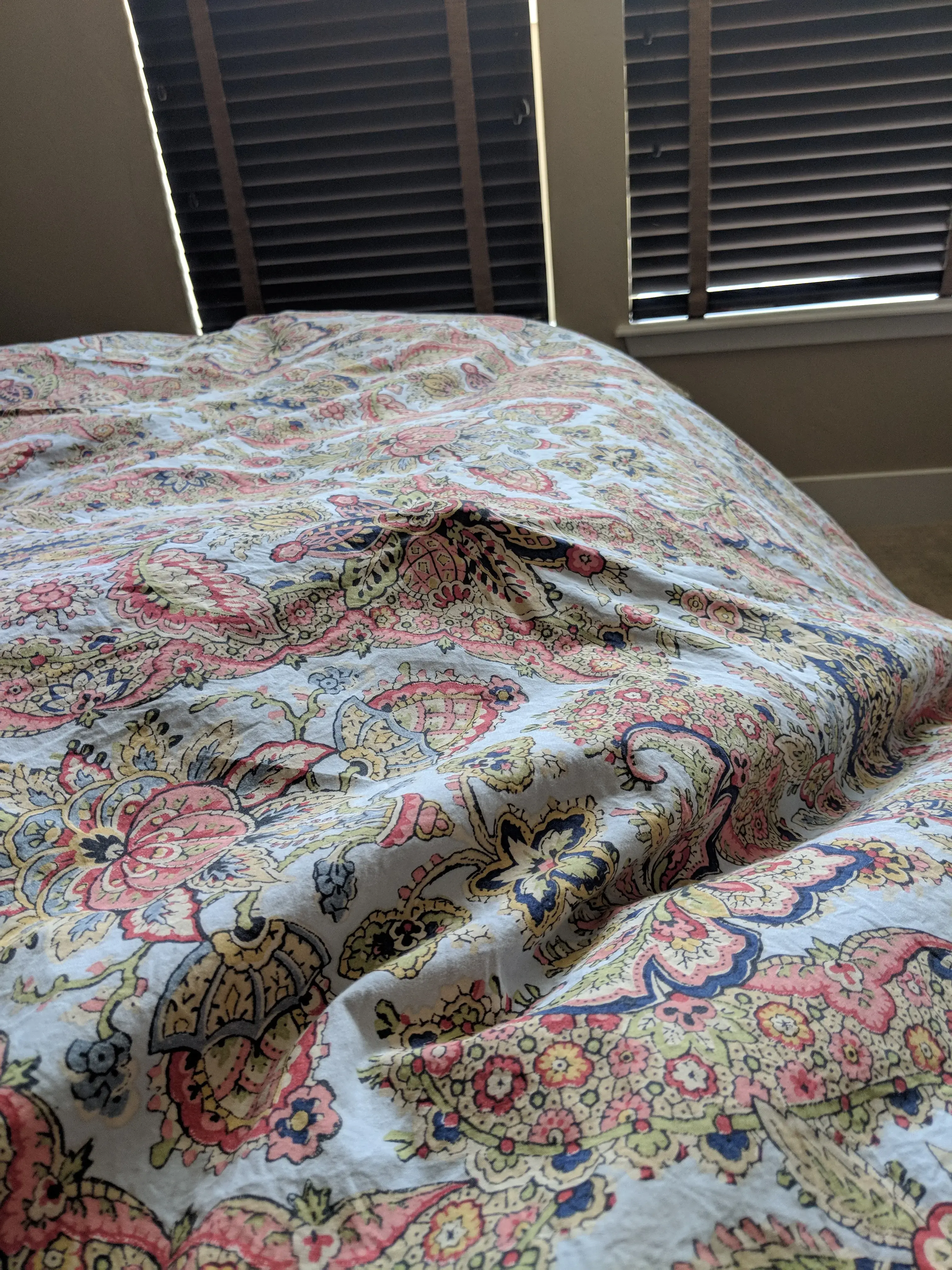 Tide Cleaners thumbnail 8