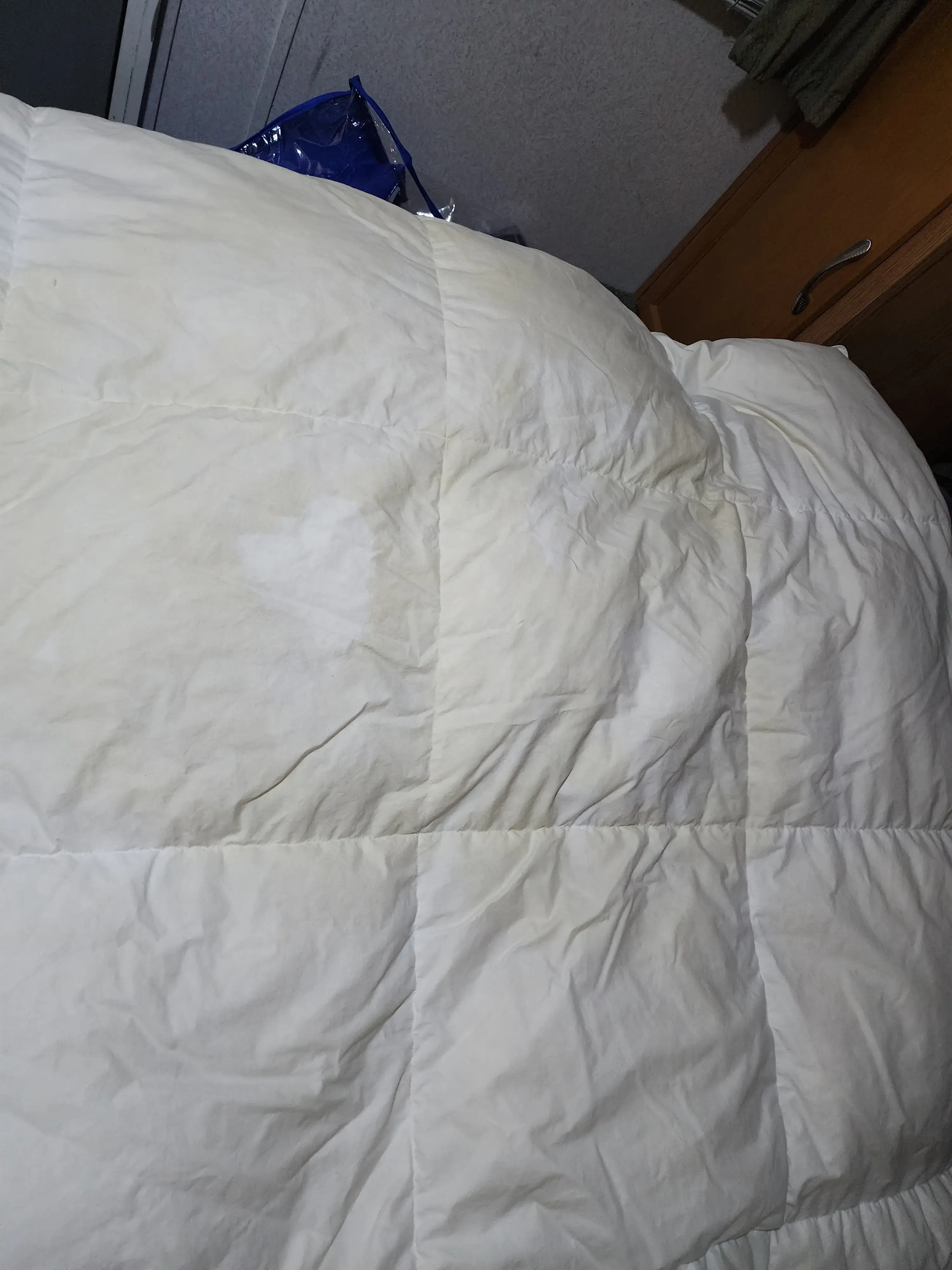 Tide Cleaners - Image 20