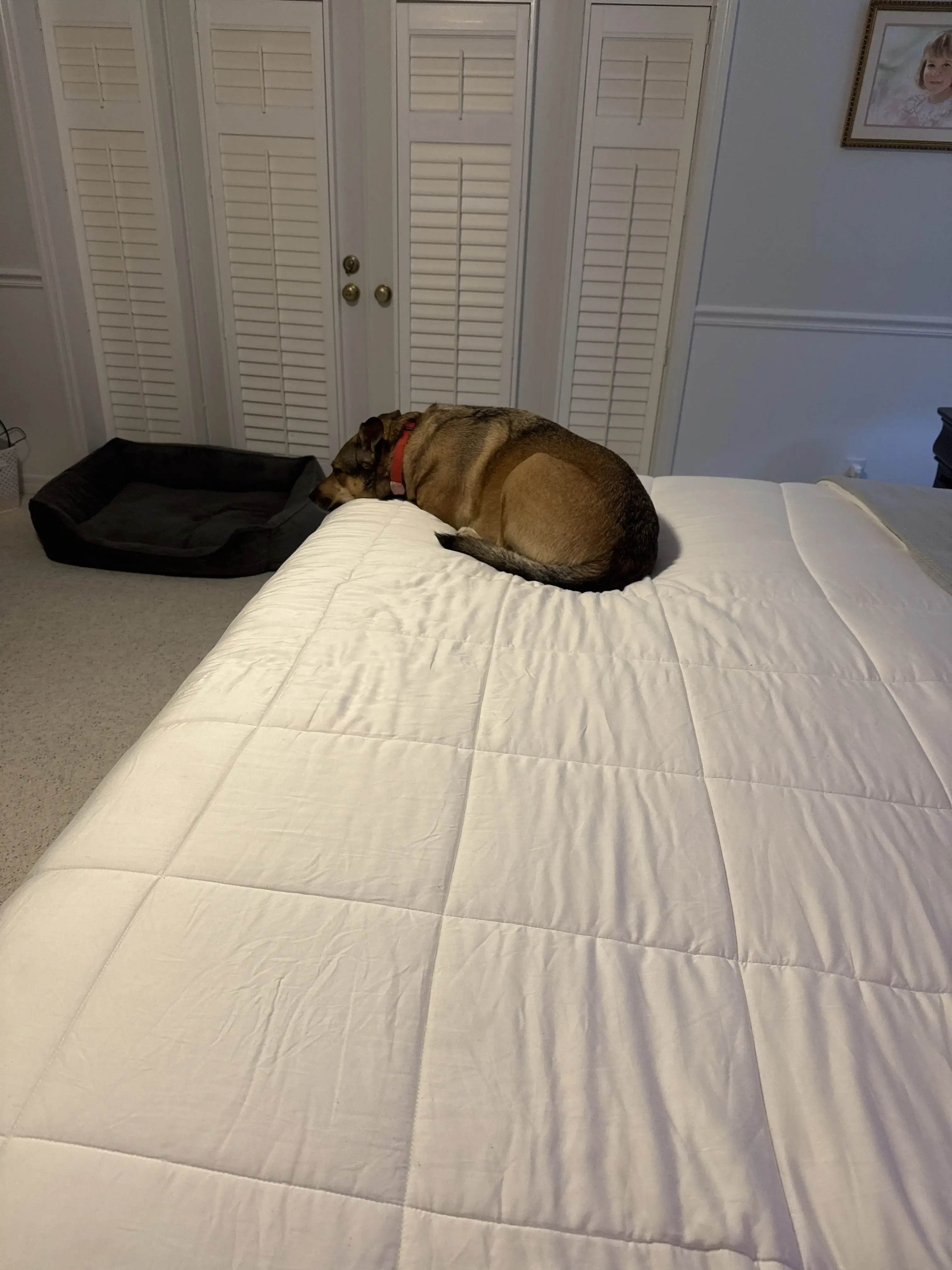 Tide Cleaners thumbnail 10