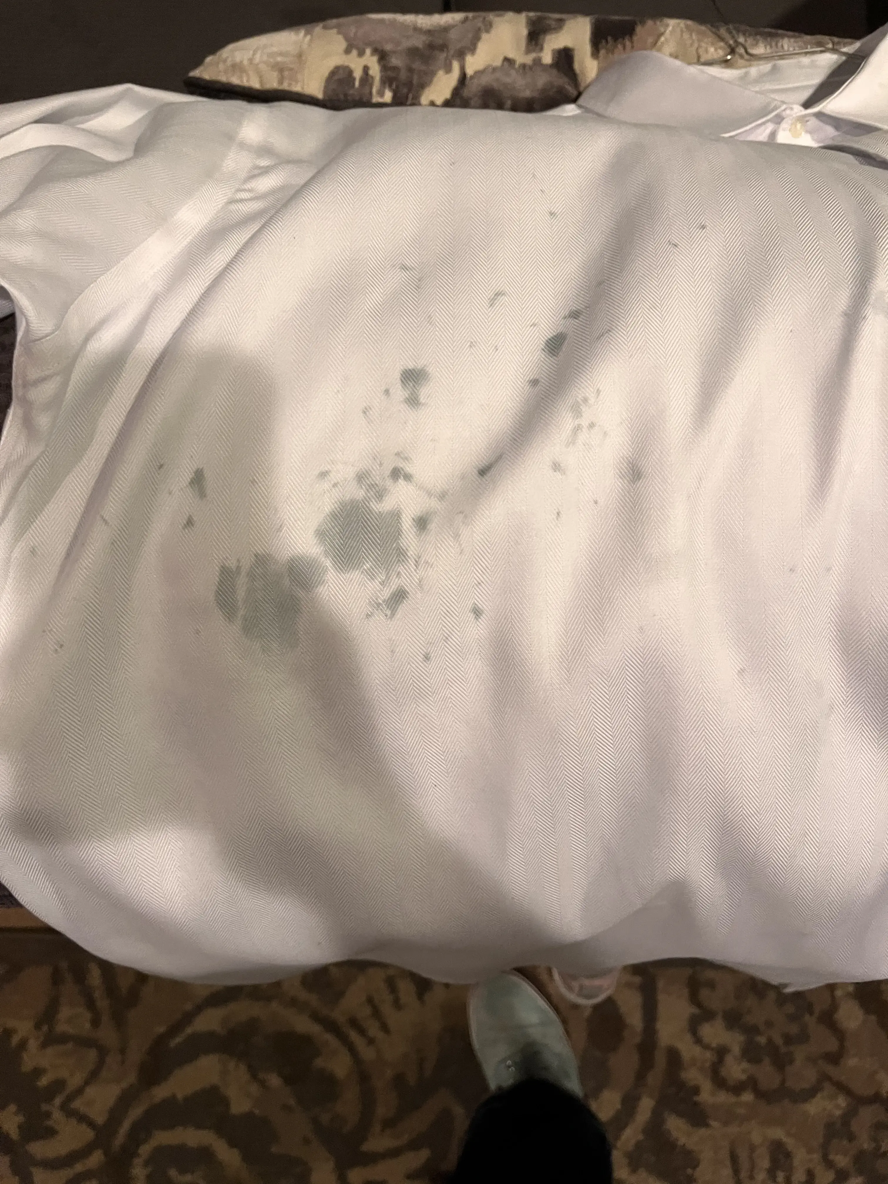 Tide Cleaners - Image 8