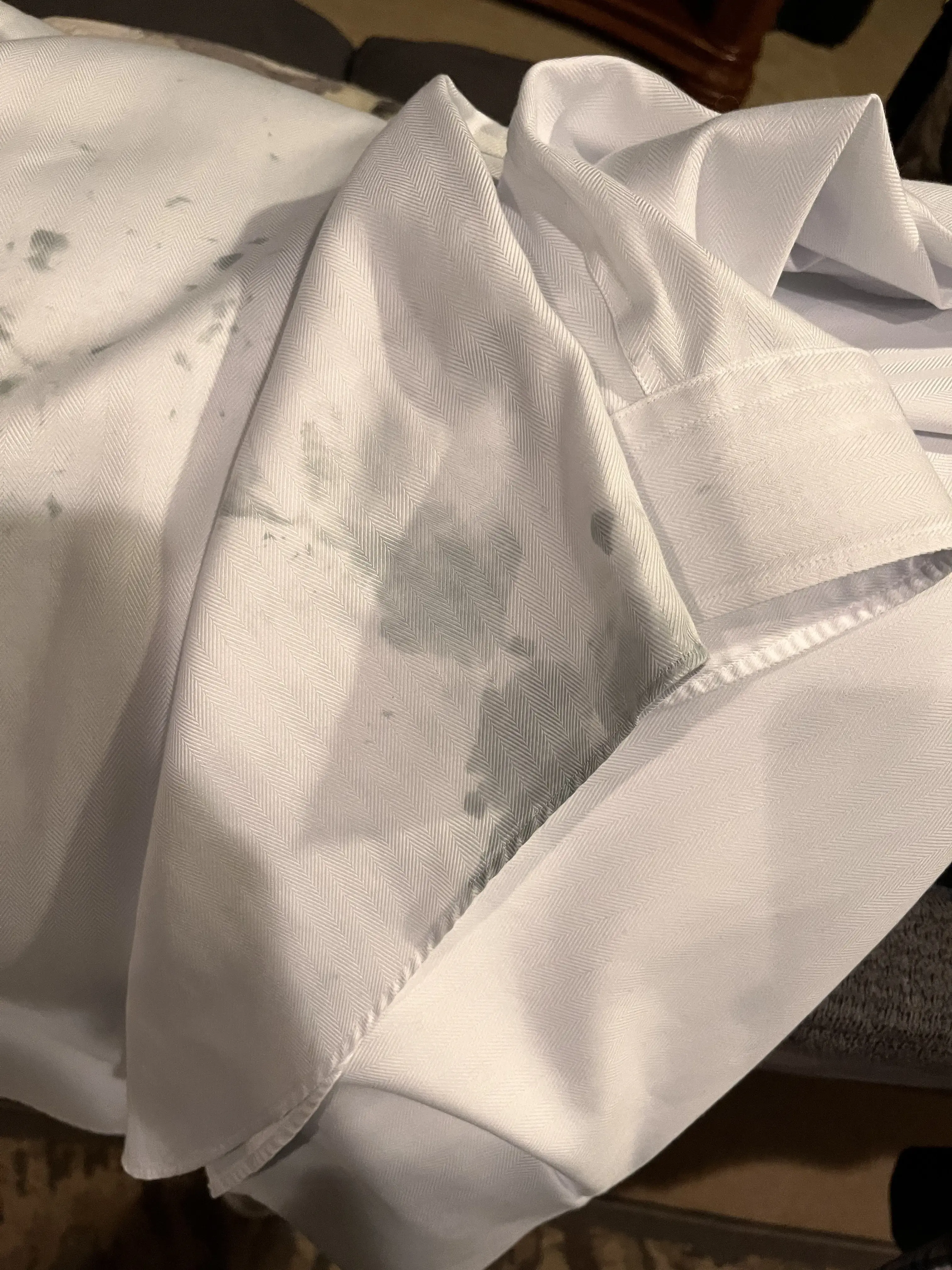 Tide Cleaners - Image 11
