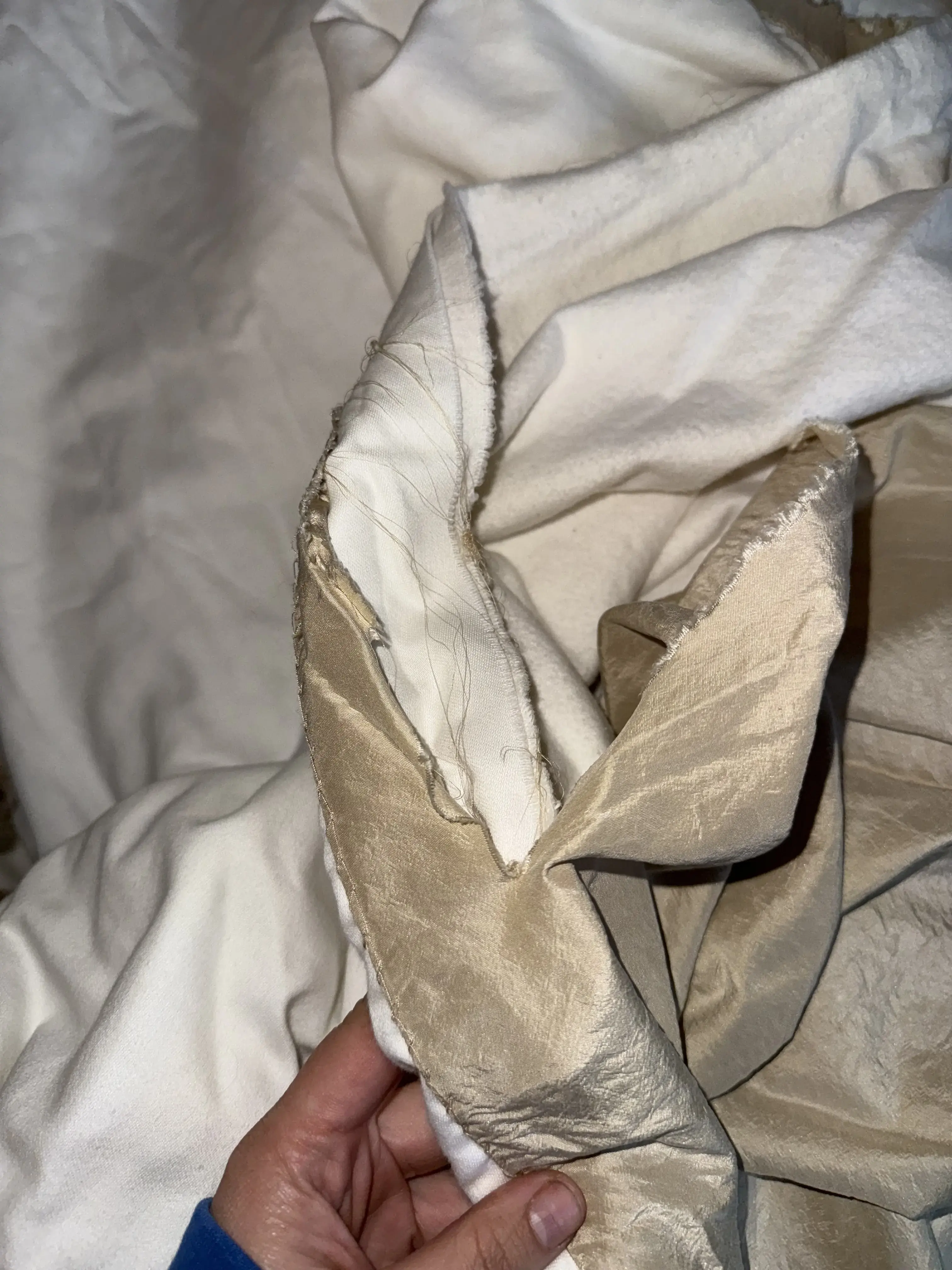 Tide Cleaners thumbnail 4