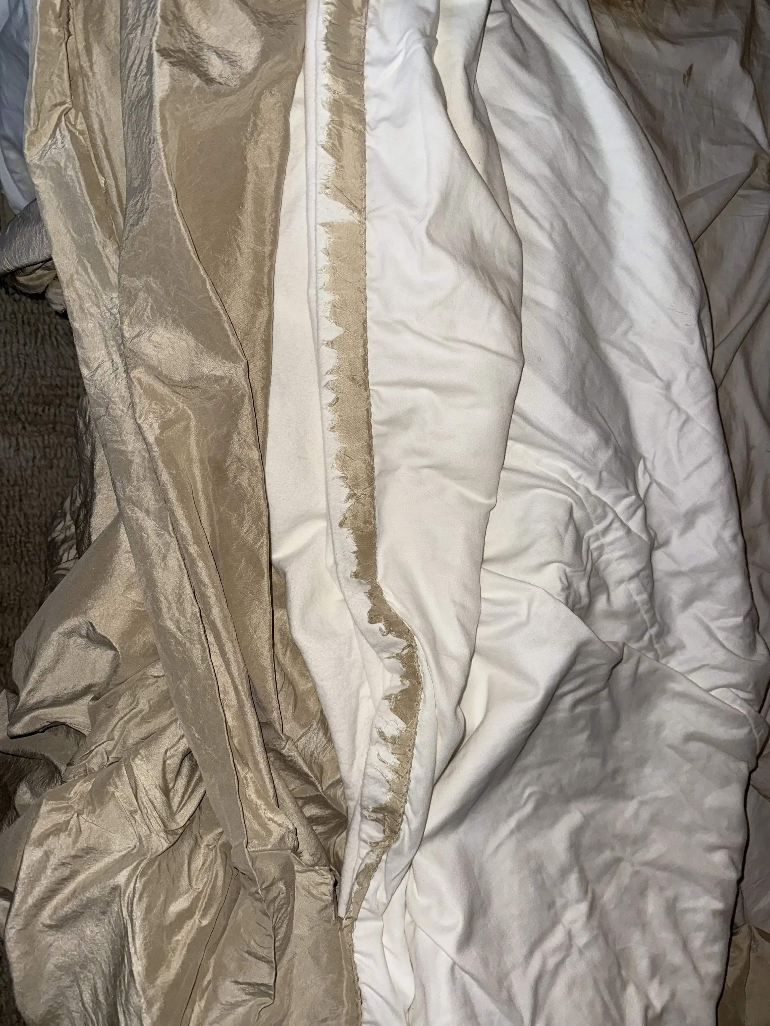 Tide Cleaners - Image 3