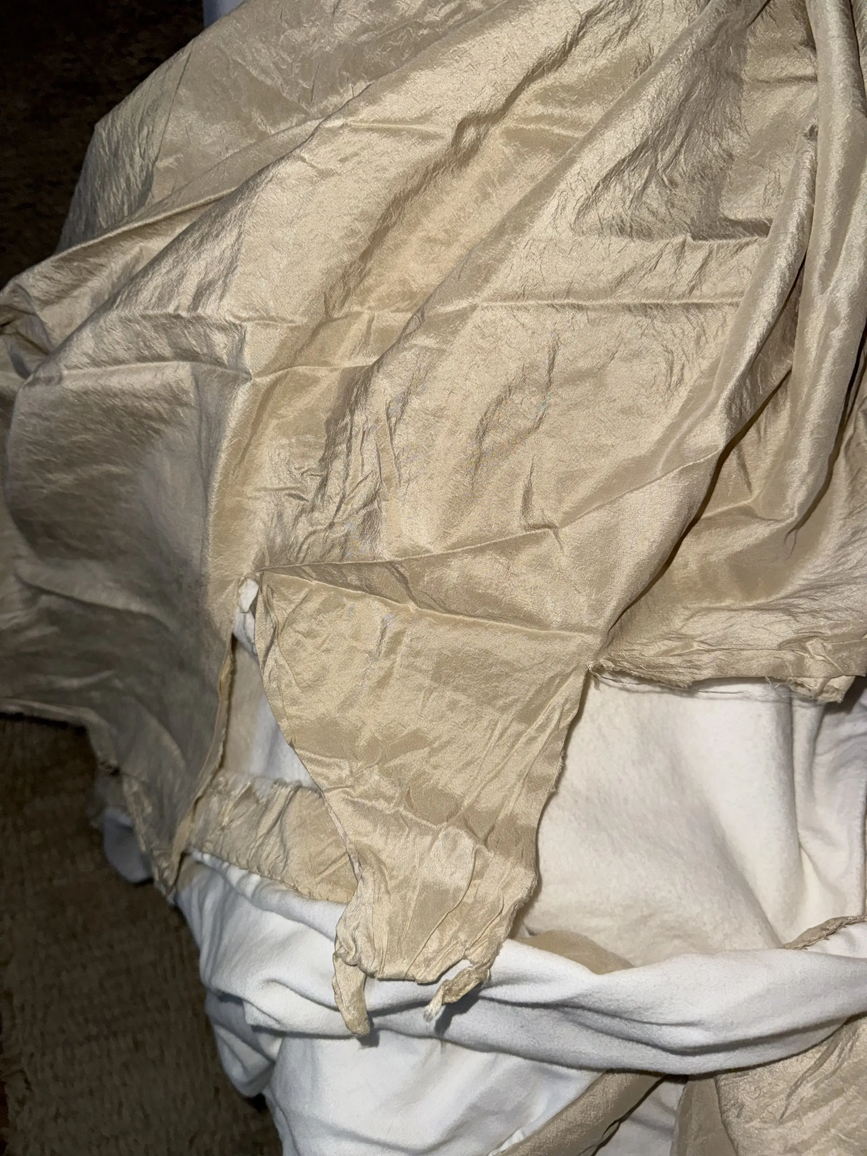 Tide Cleaners - Image 6