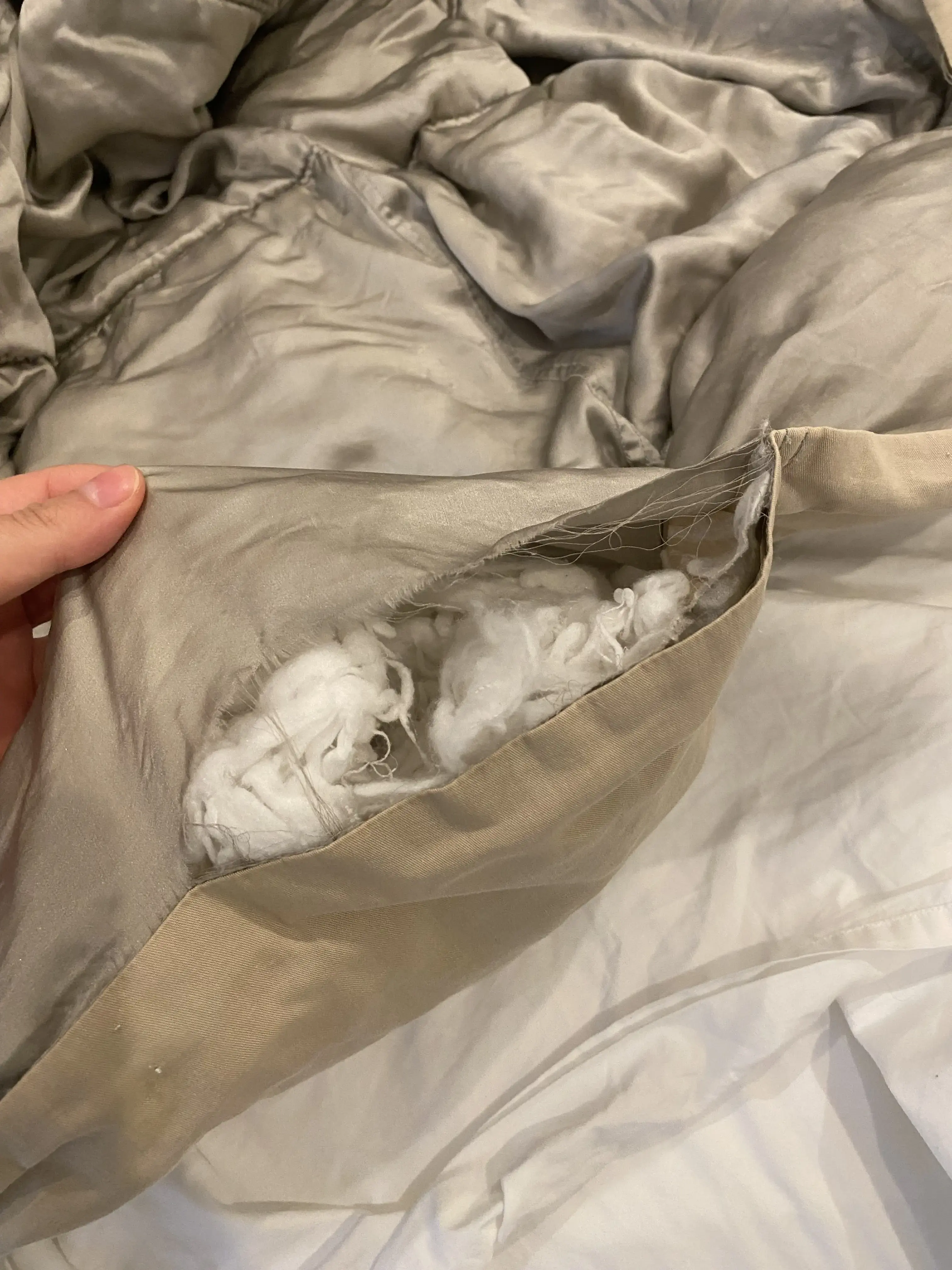 Tide Cleaners - Image 12