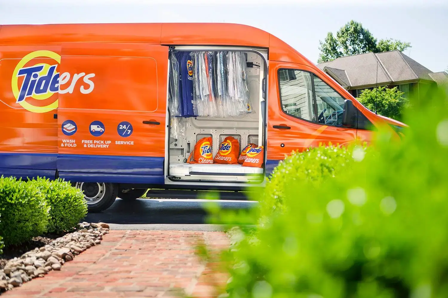 Tide Cleaners thumbnail 8