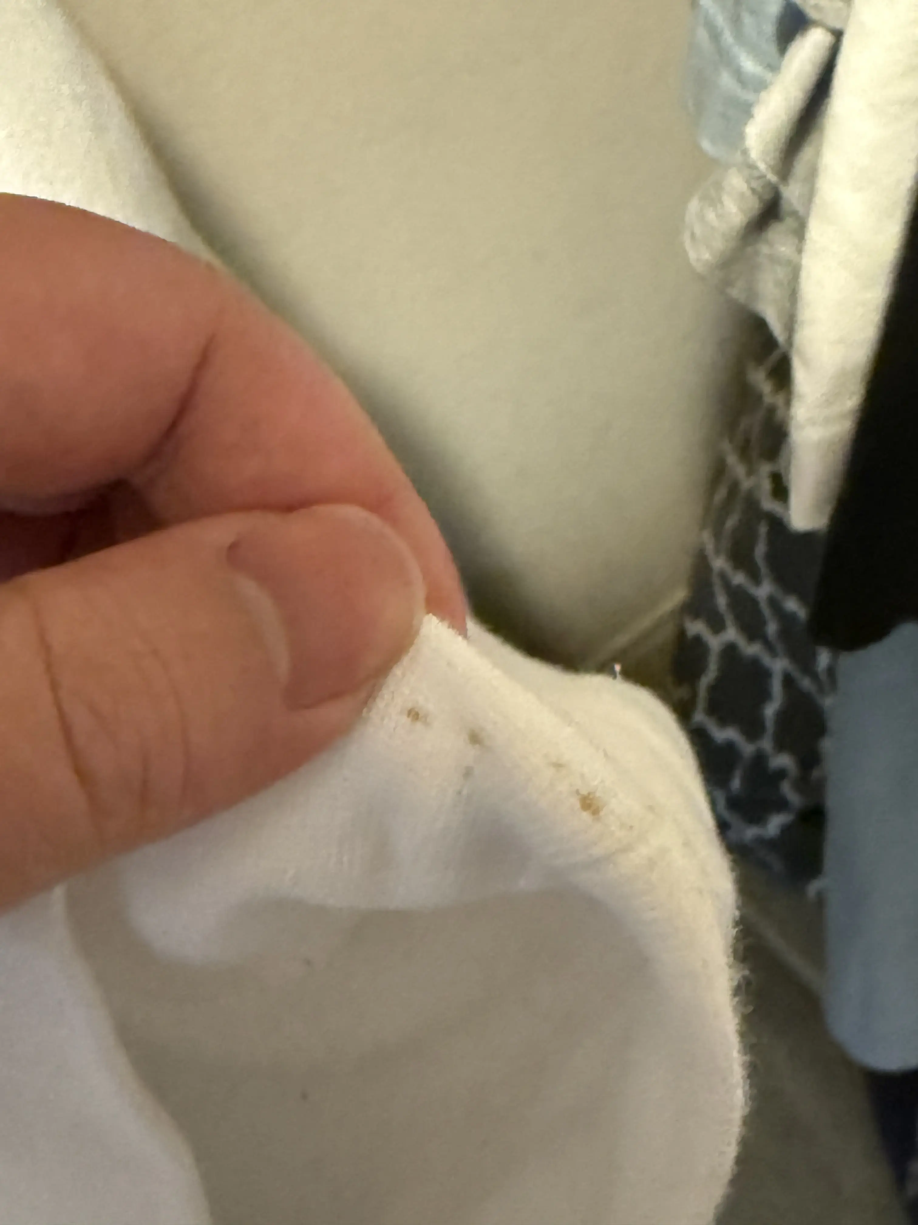 Tide Cleaners thumbnail 19