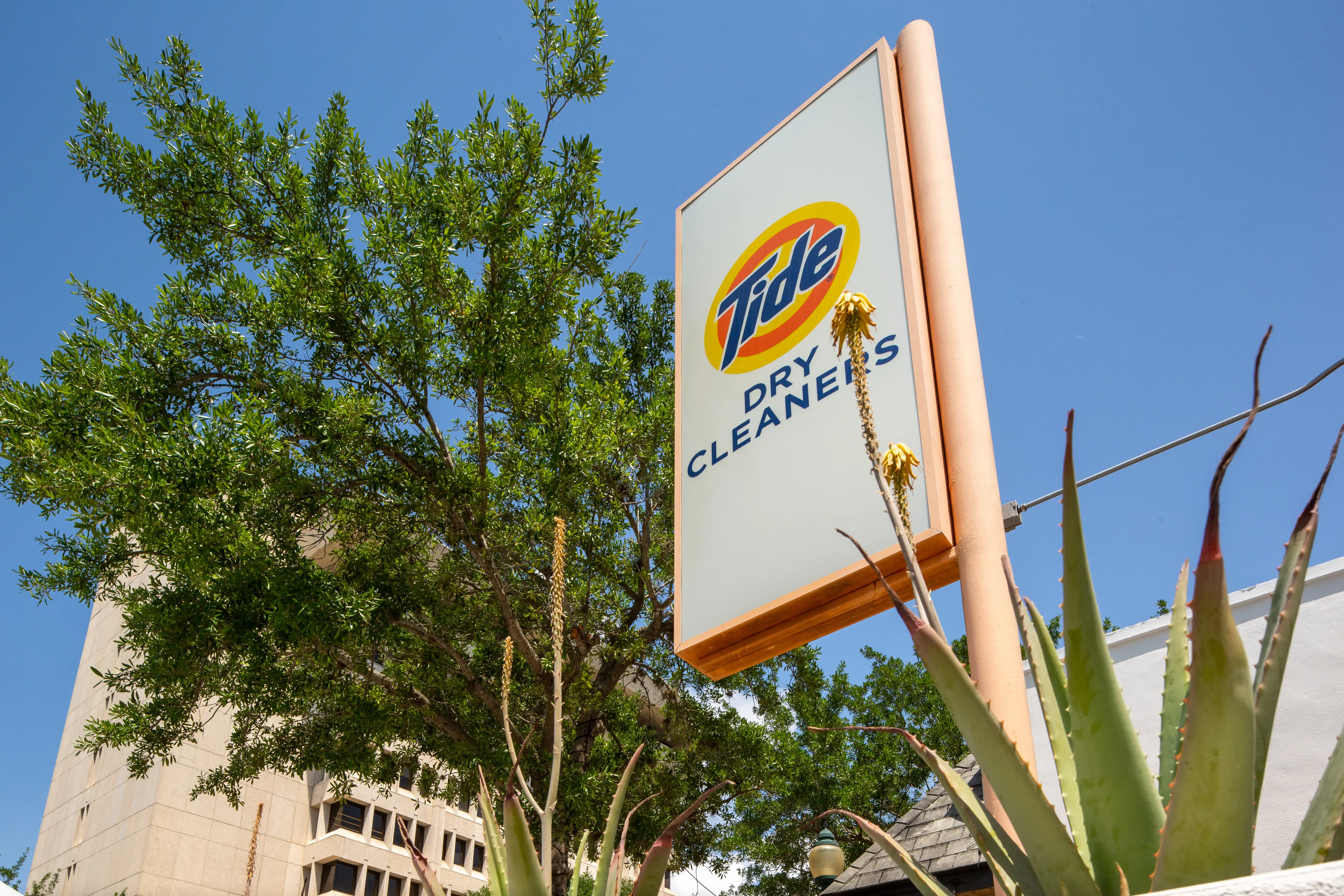 Tide Cleaners thumbnail 2