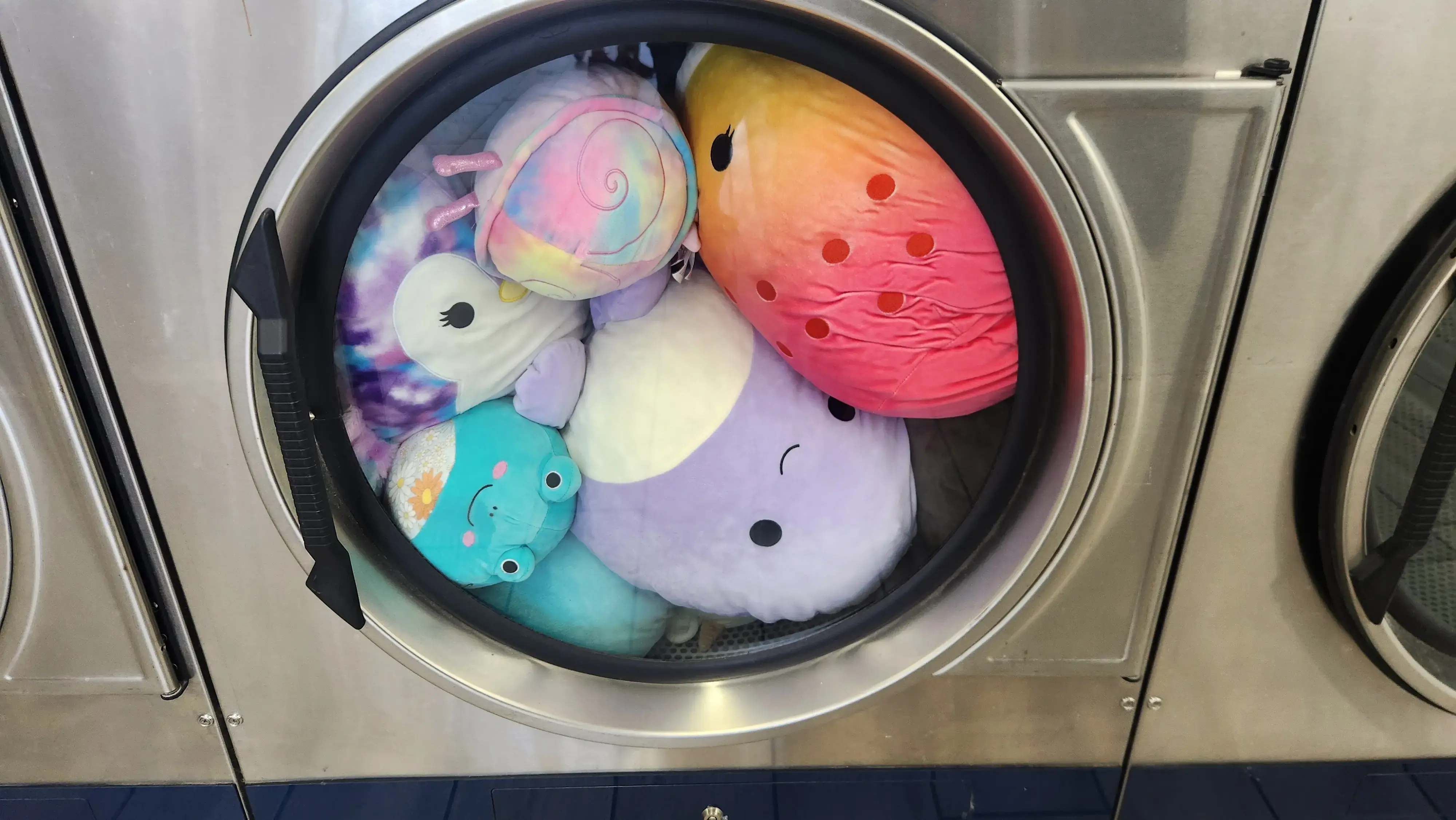 Tidy Wash Coin Laundry thumbnail 5